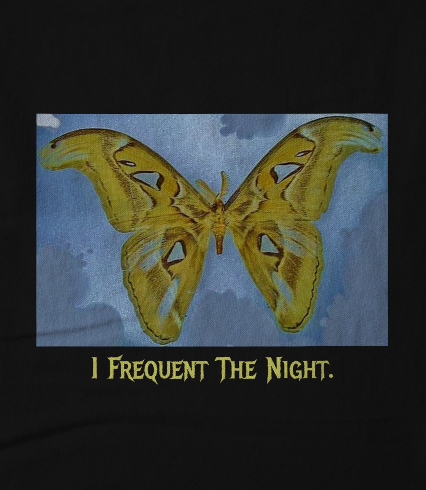 I Frequent The Night. Hoodie