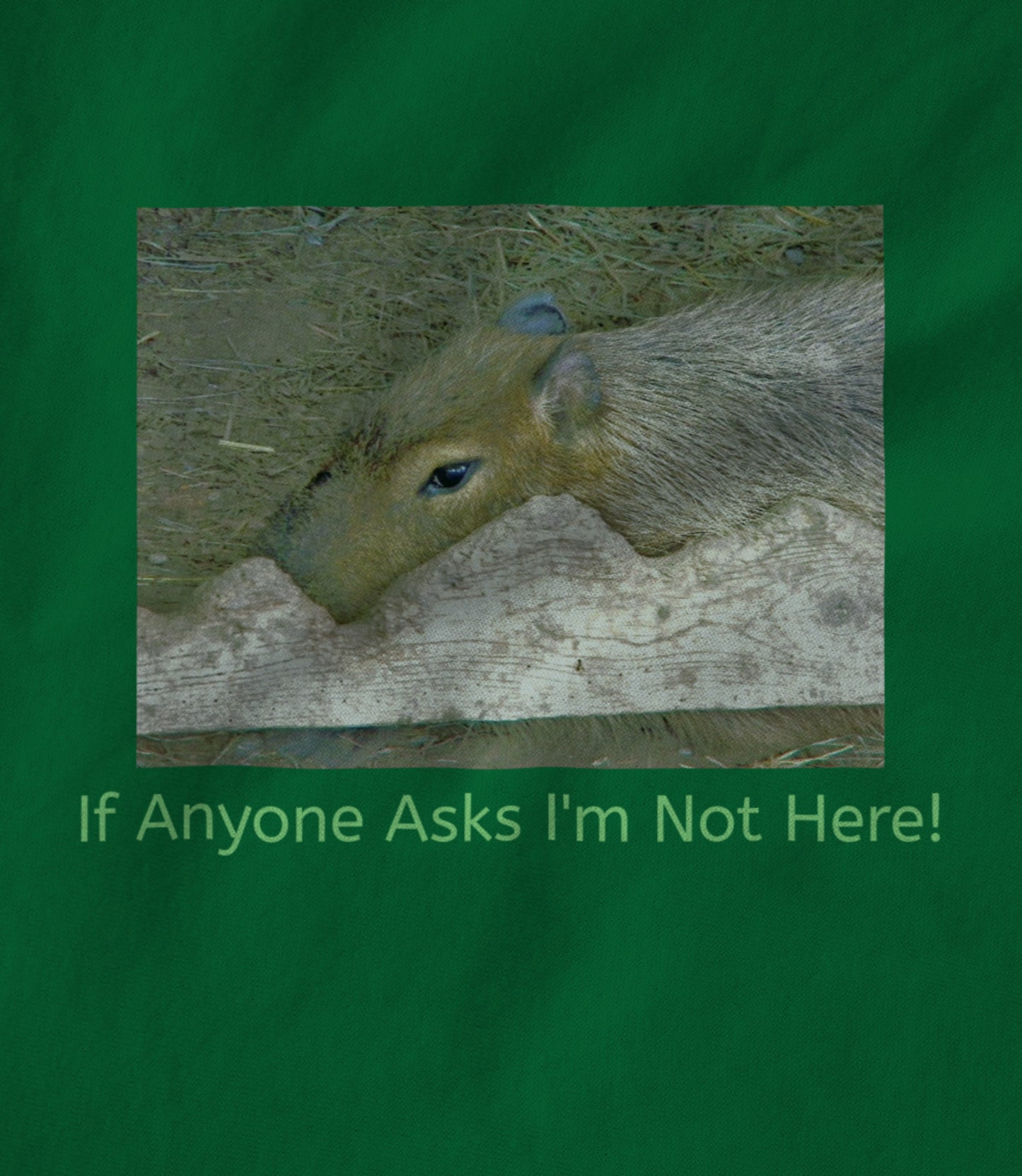 If anyone asks I'm Not Here! Unisex T-shirt