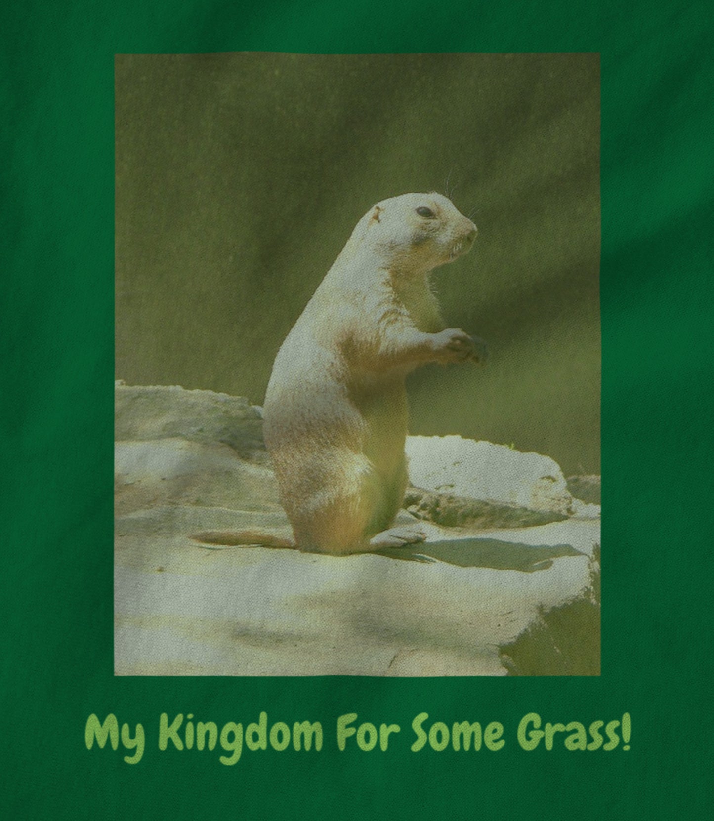My Kingdom For Some Grass! Women's T-shirt