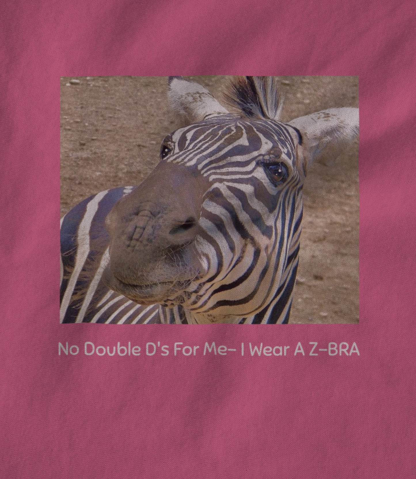 No Double D's for Me IWear A Z-bra! Women's T-shirt