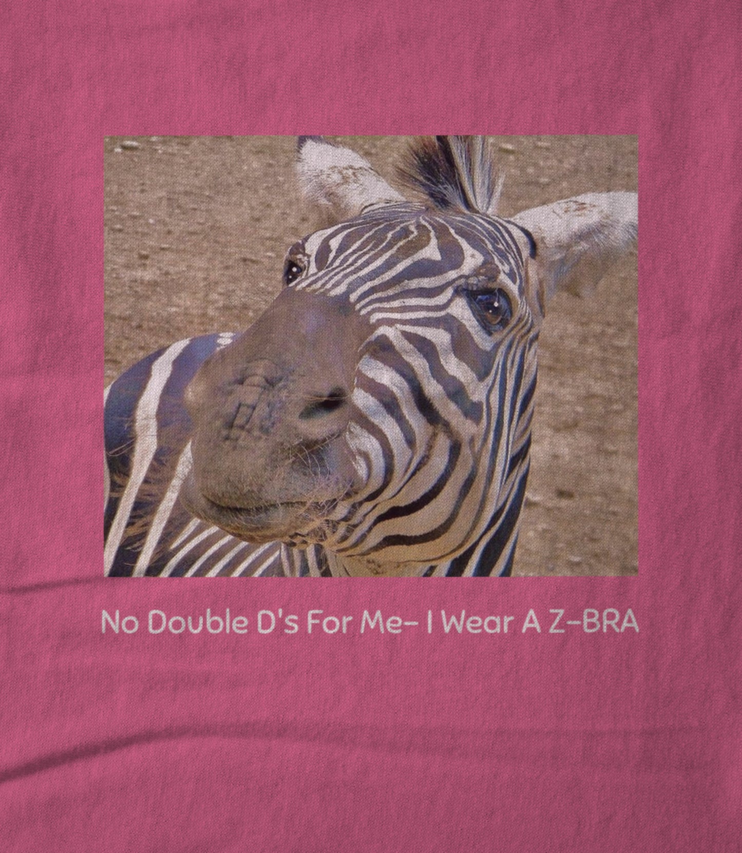 No Double D's for Me IWear A Z-bra! Unisex T-shirt