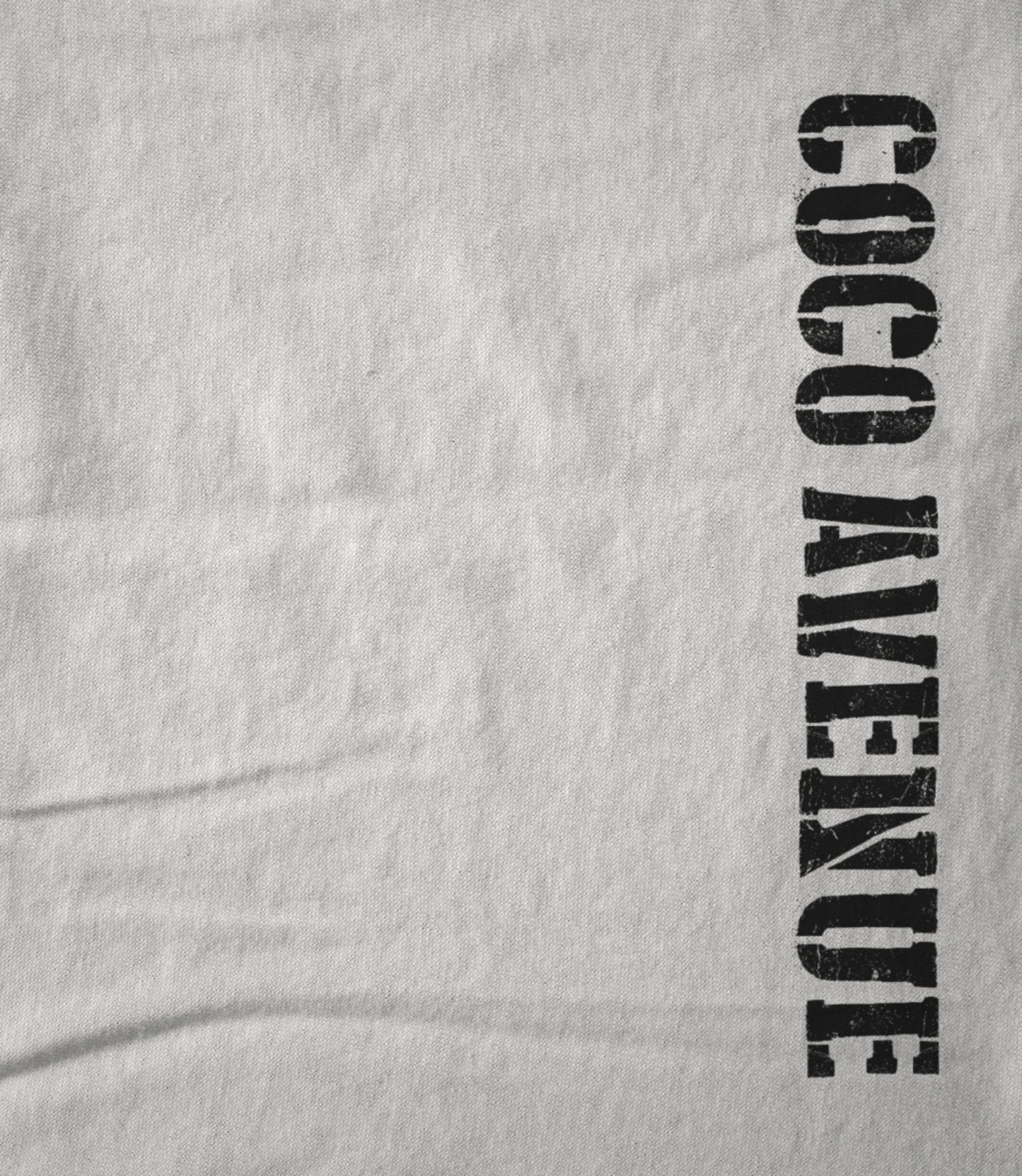 Coco Avenue (Black Side Logo) Women's T-shirt