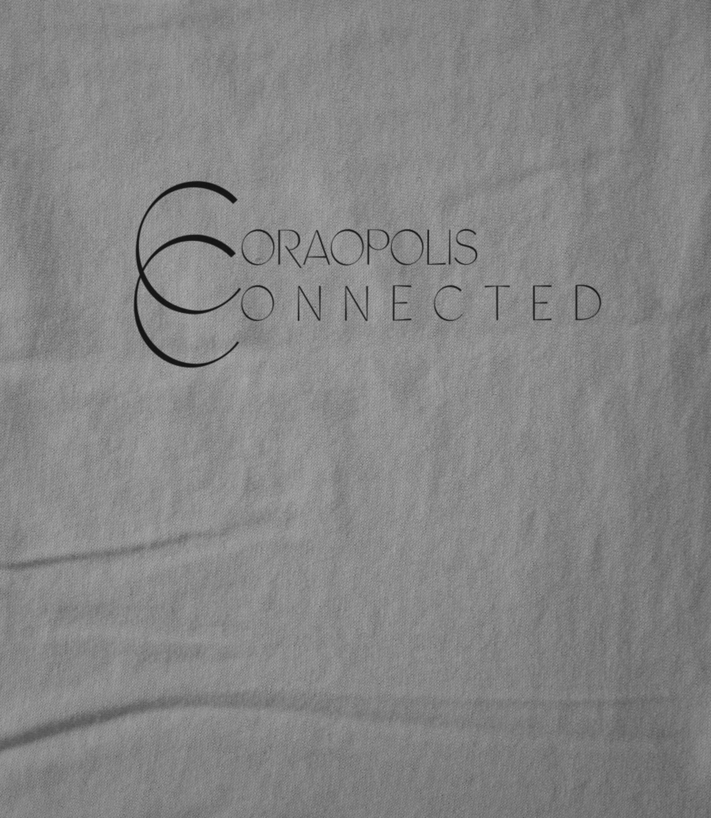 Grey 2 Women's T-shirt