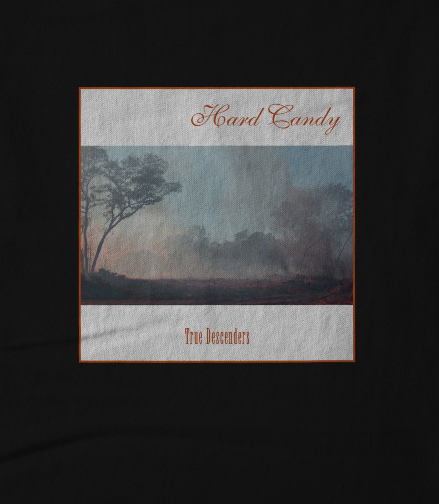 True Descenders Cover Art on Black Hoodie