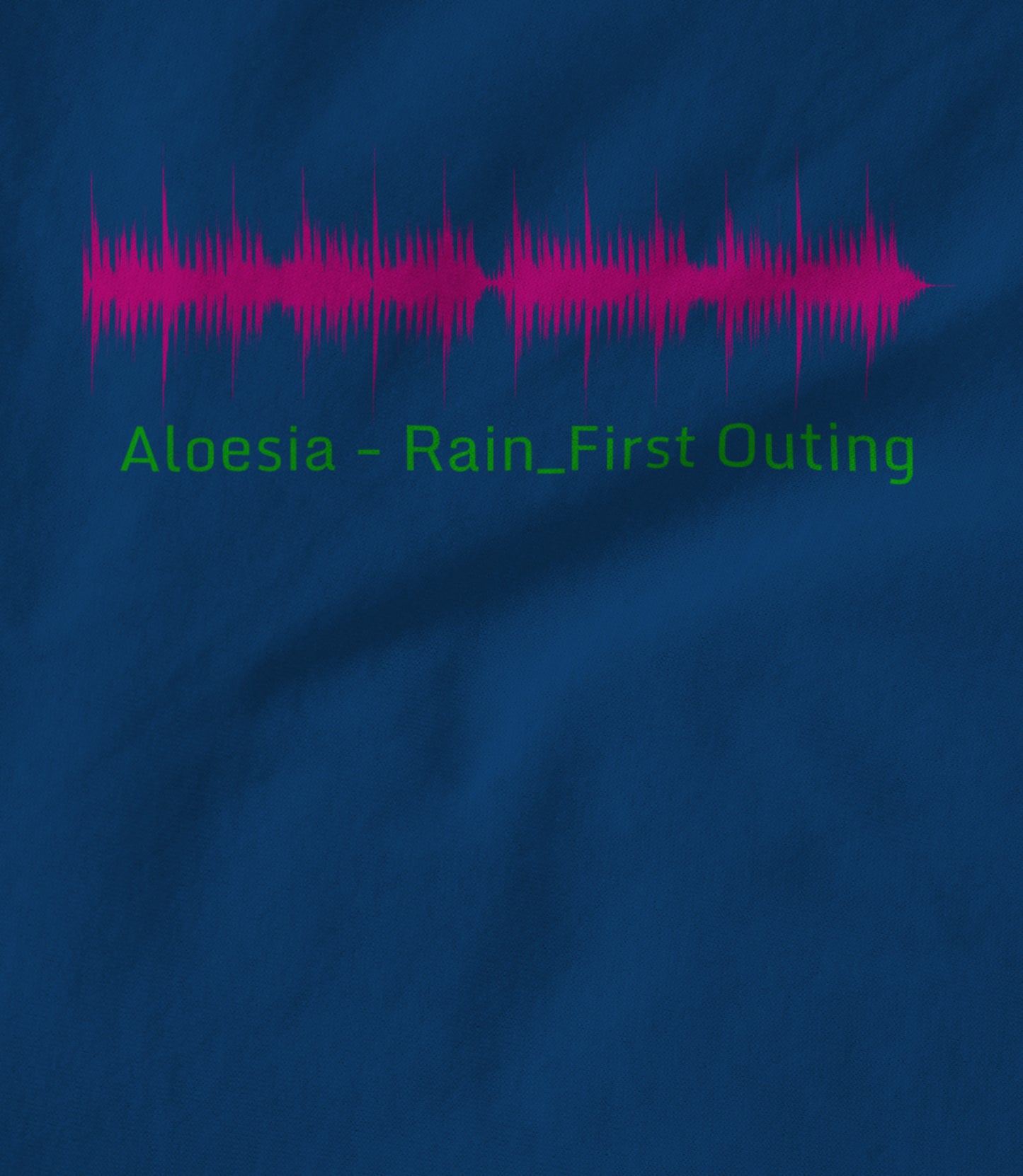 Rain_First Outing Waveform Hoodie