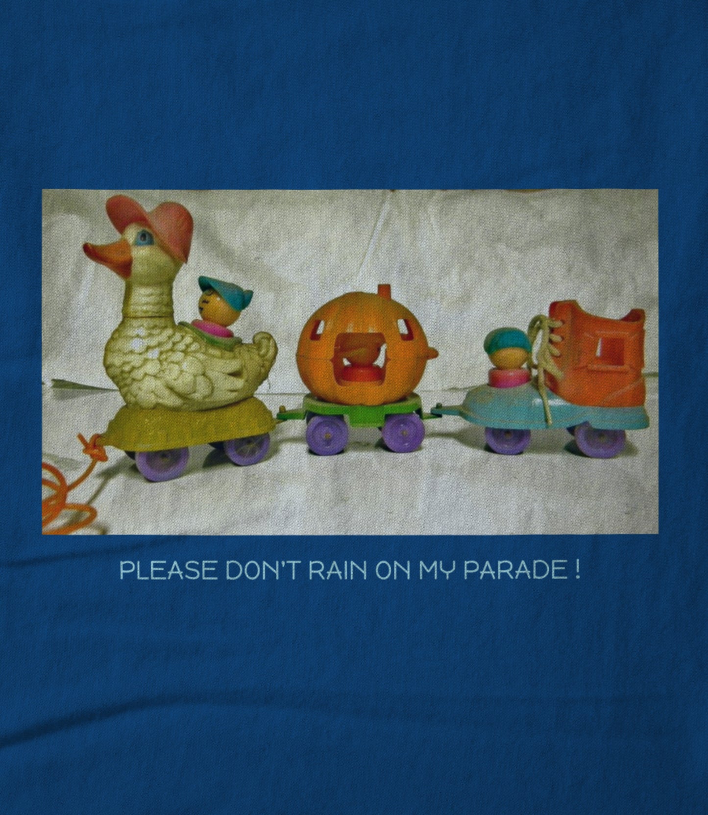 PLEASE DON'T RAIN ON MY PARADE! Hoodie