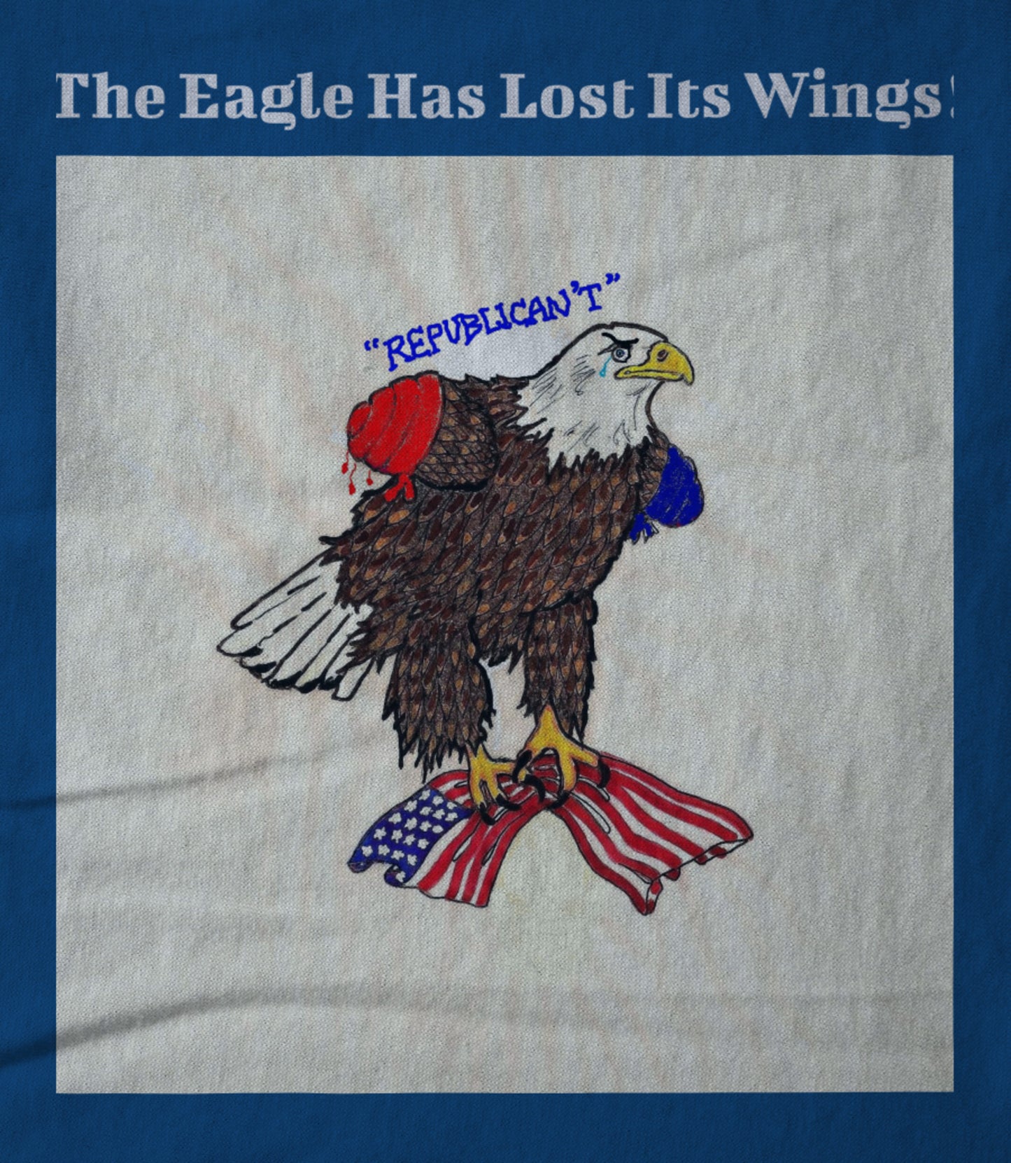 The Eagle Has Lost Its Wings ! Women's T-shirt