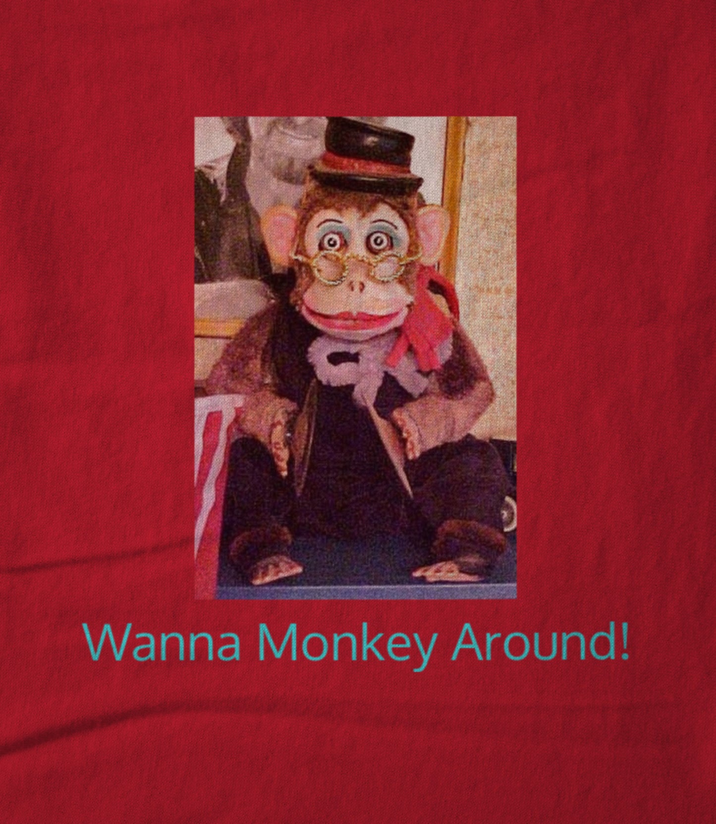 Wanna Monkey Around! Women's T-shirt