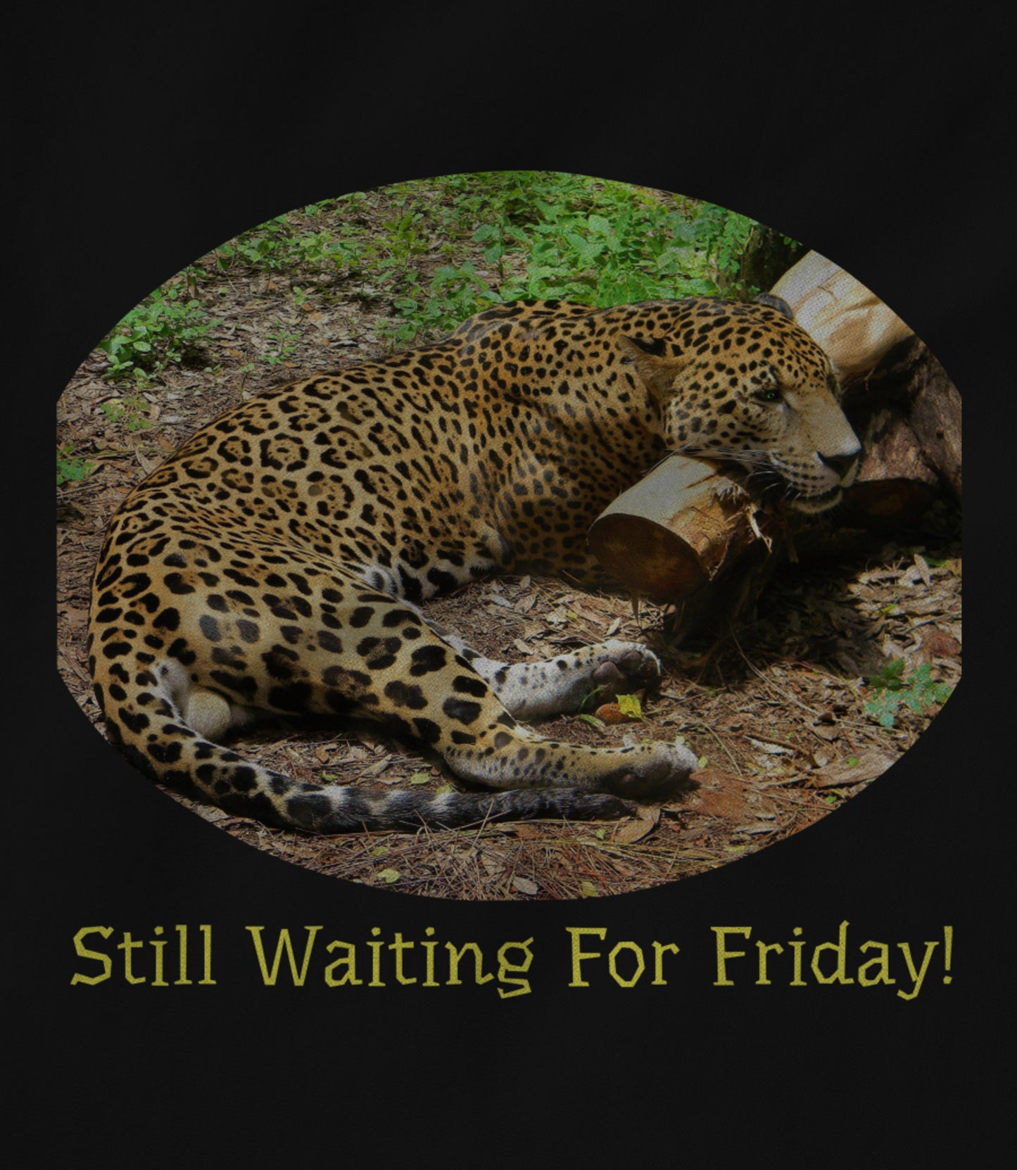 Still Waiting For Friday! Hoodie