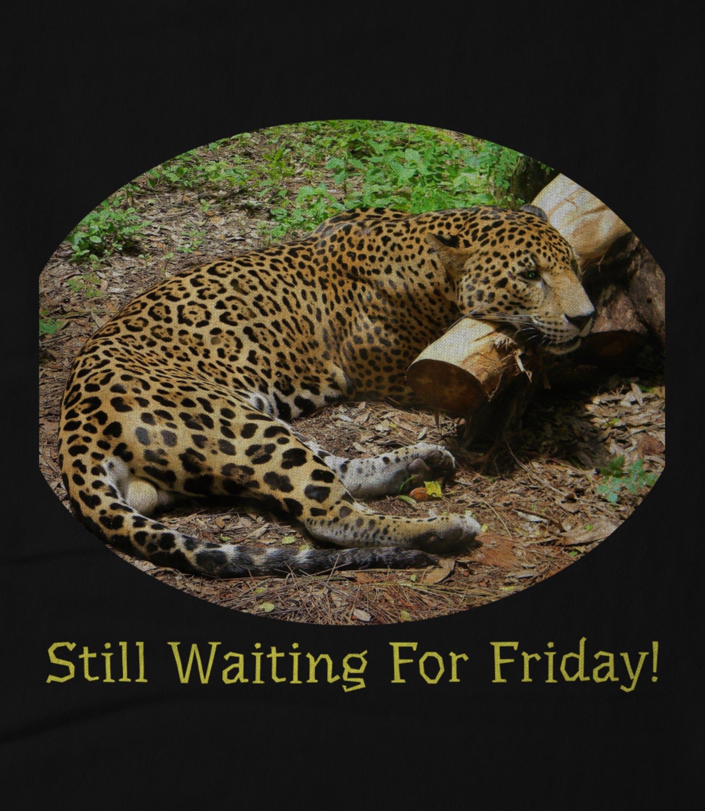 Still Waiting For Friday! Women's T-shirt