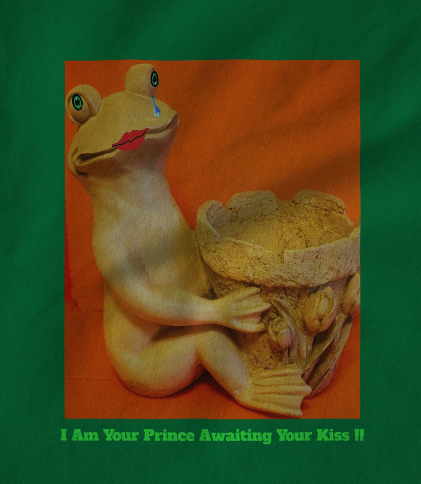 I Am Your Prince Awaiting Your Kiss !! Women's T-shirt