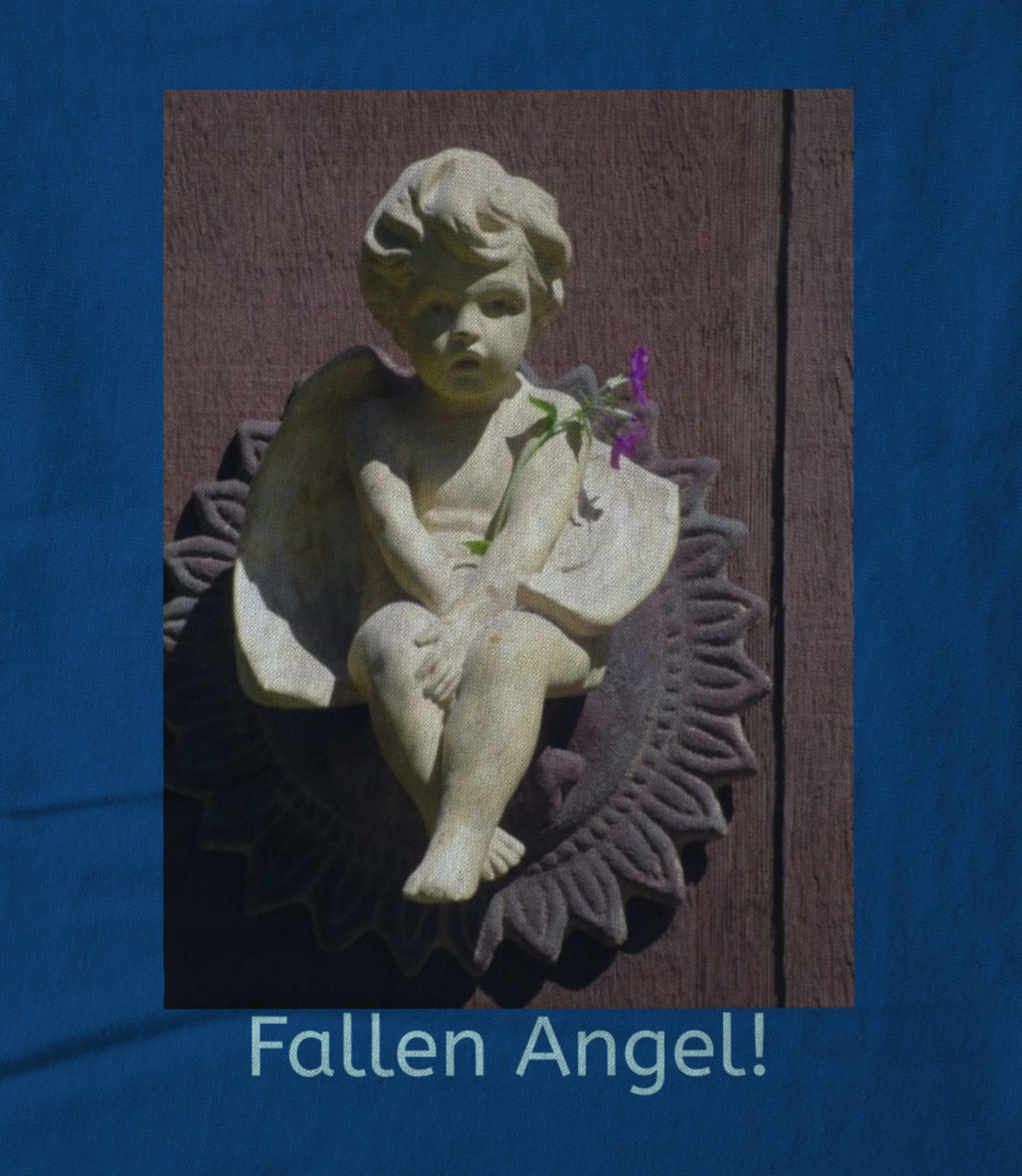 Fallen Angel! Women's T-shirt