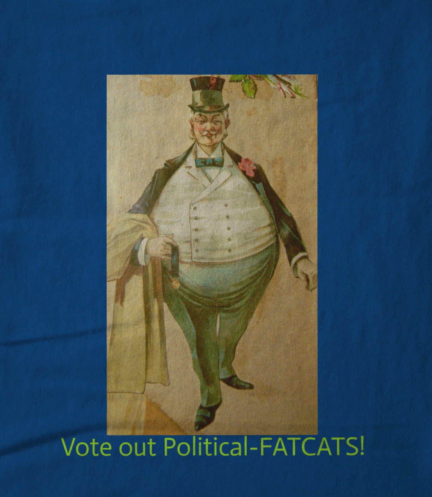 Vote Out Political FATCATS! Hoodie