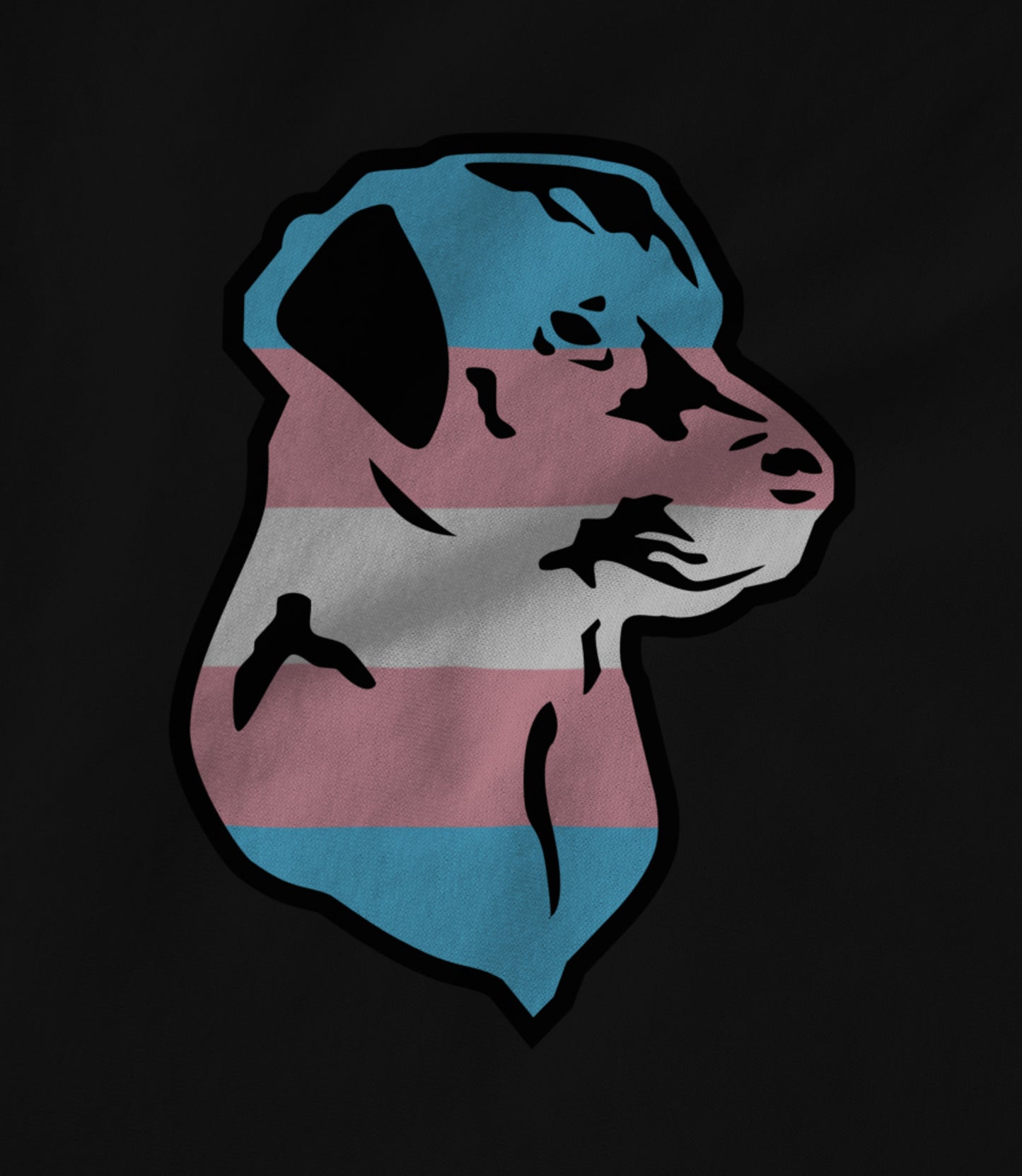 Trans Pride Unisex T-shirt
