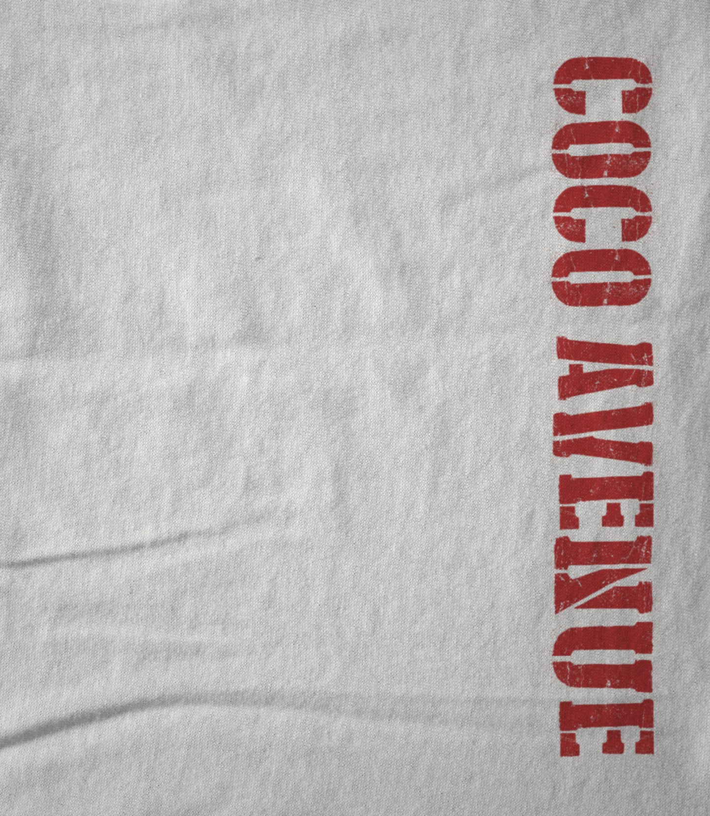 Coco Avenue (Red Side Logo) Women's T-shirt