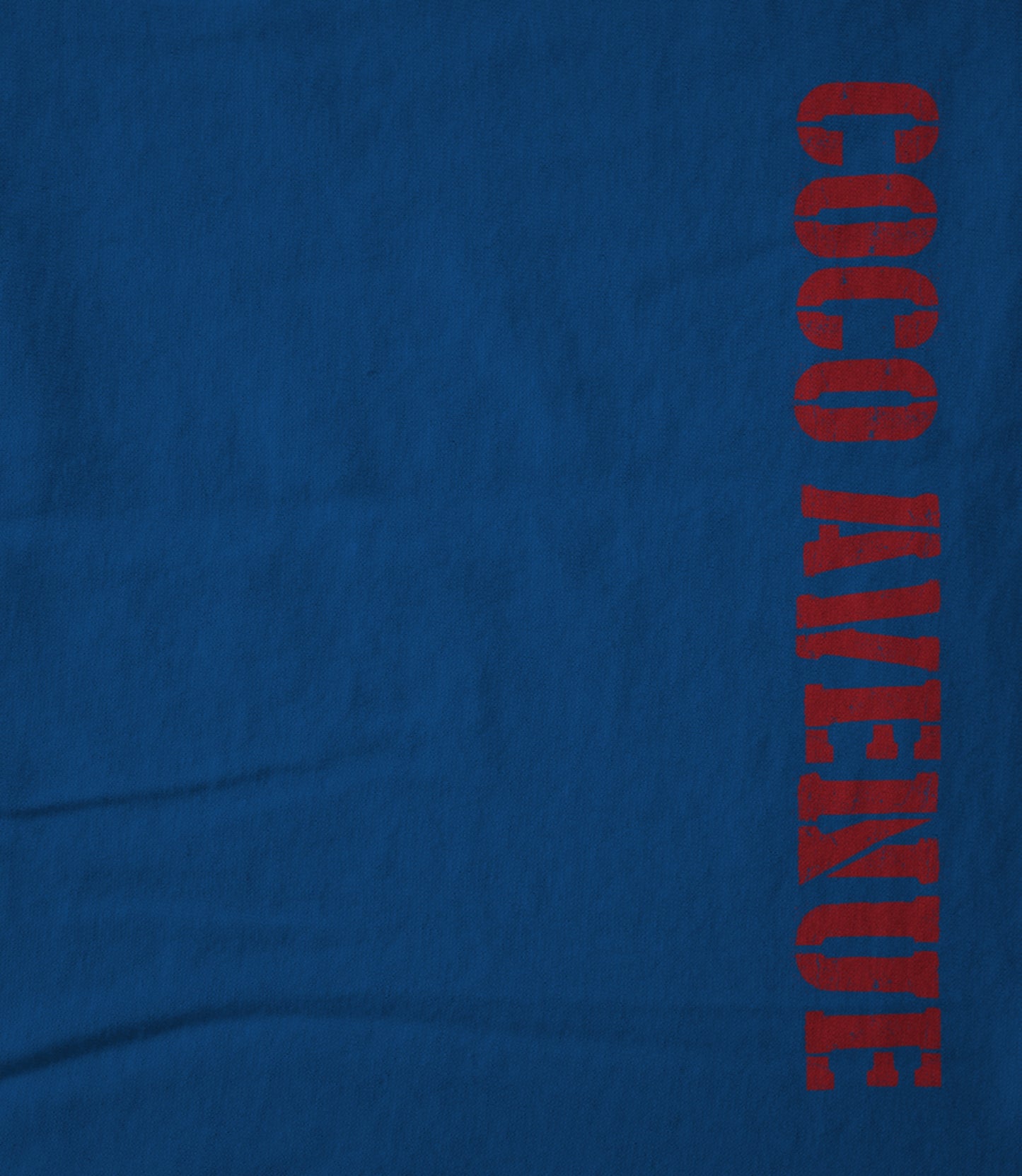 Coco Avenue (Red Side Logo) Hoodie