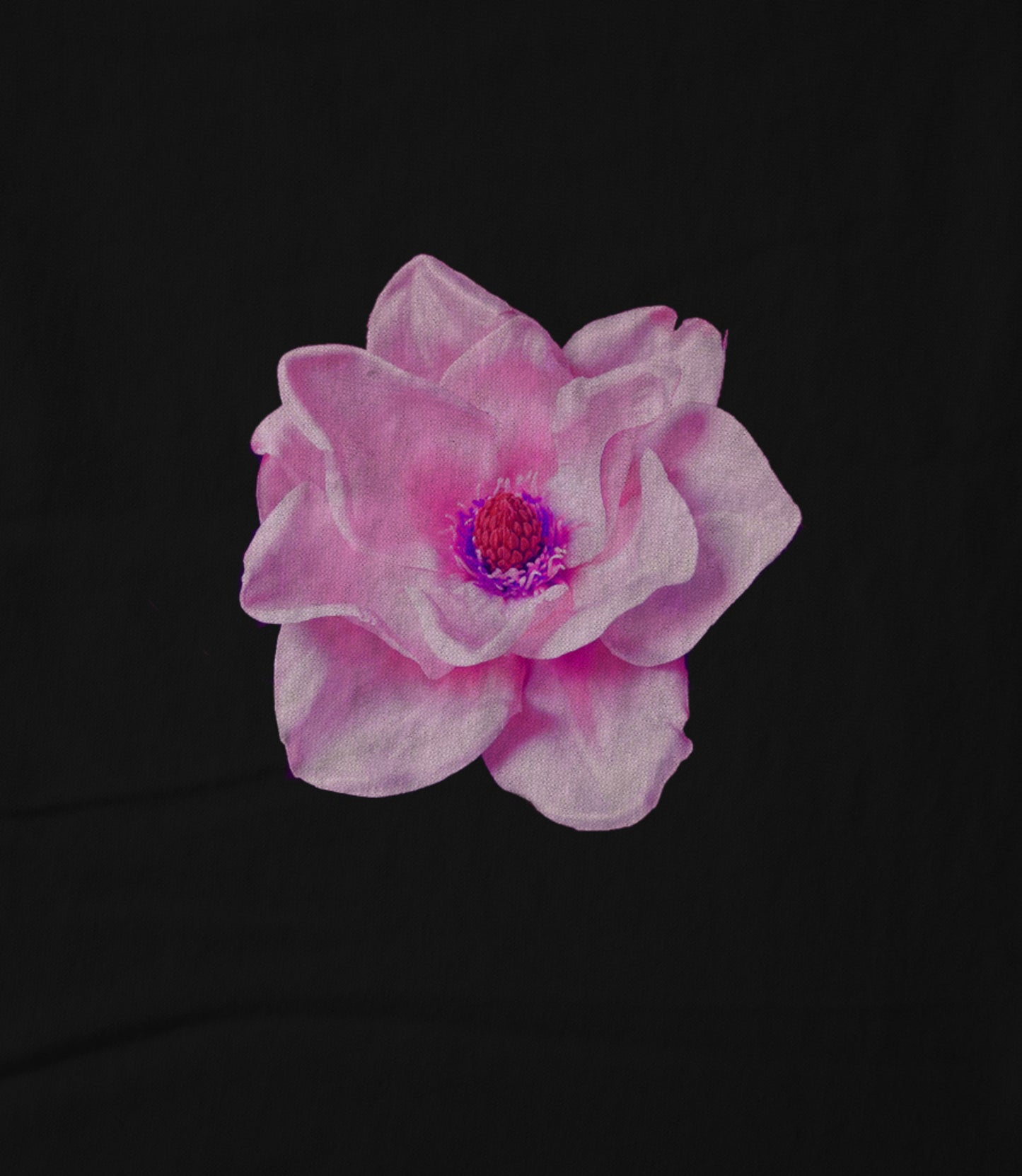 Neon Magnolia Hoodie