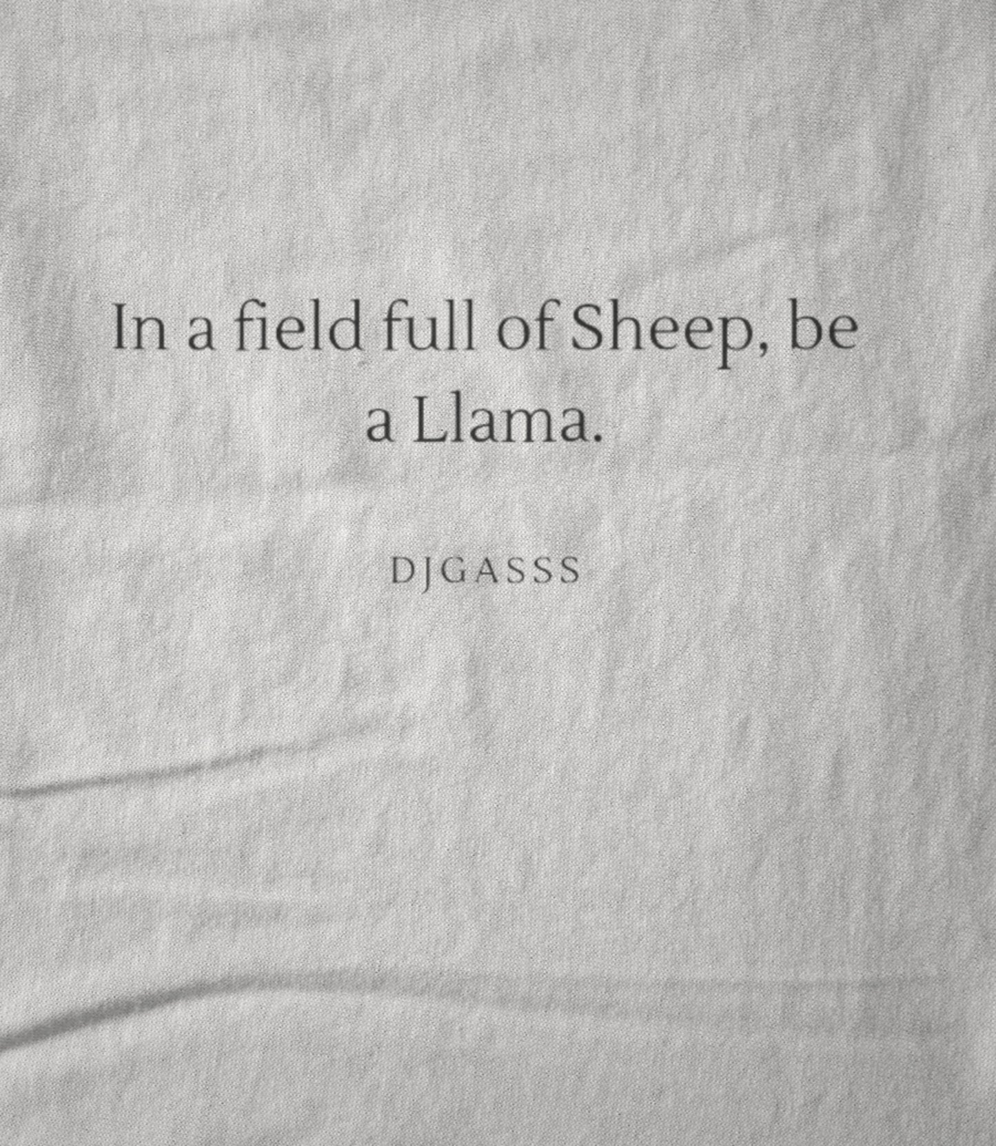 Be a Llama white Women's T-shirt