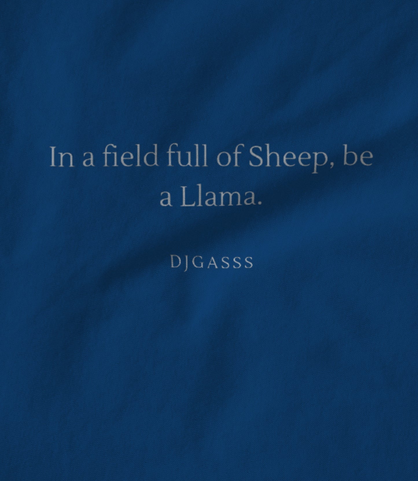 Be a Llama blue Hoodie