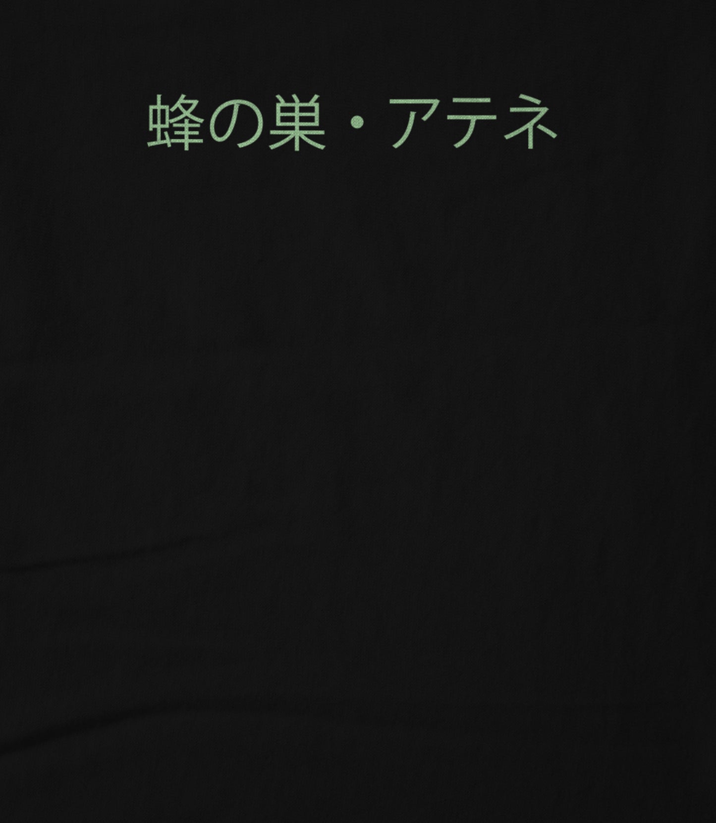 JPN Logo Women's T-shirt