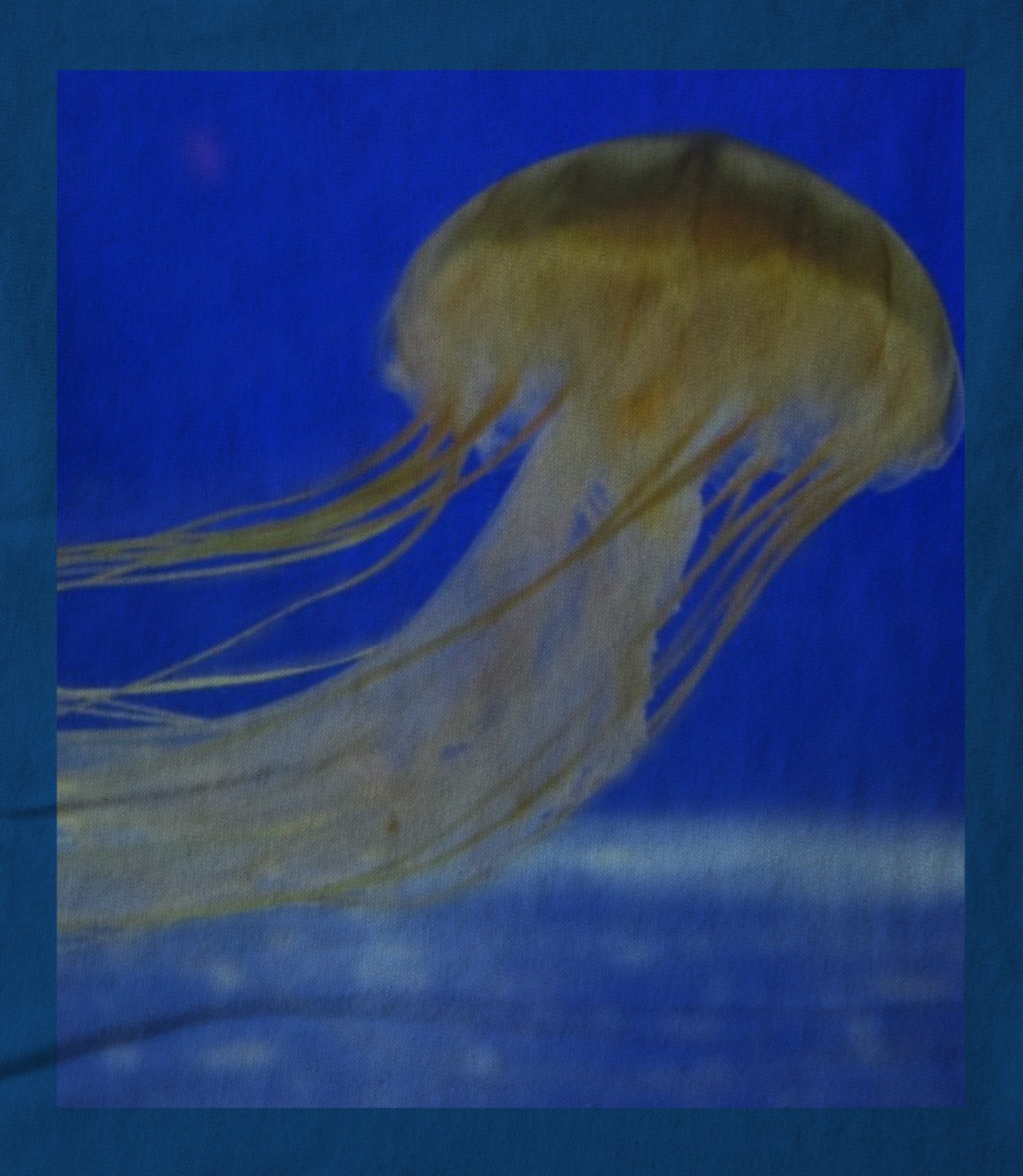 Cheryl Laurie Designs- Jelly Fish Unisex T-shirt