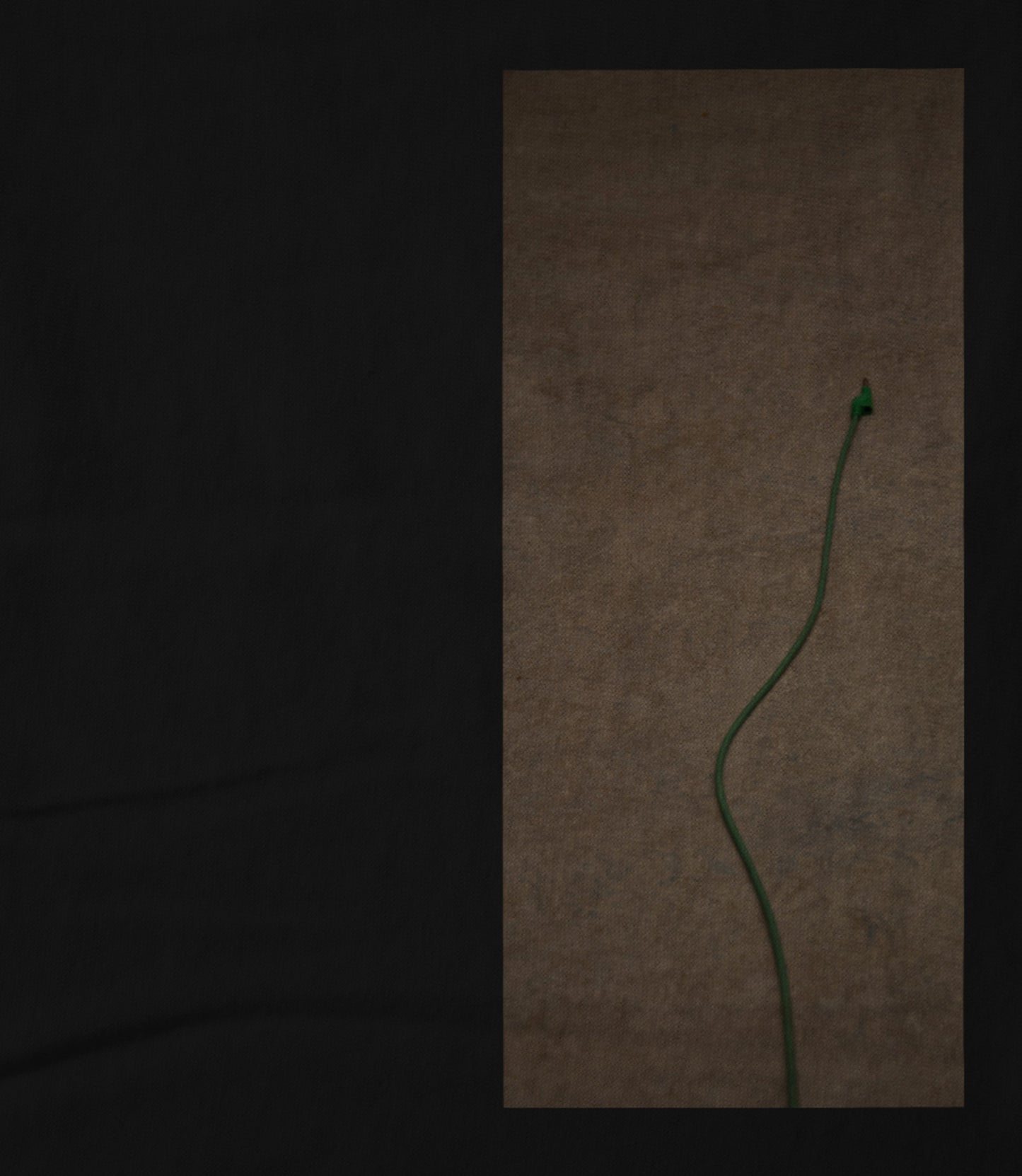 One'ish 2 Women's T-shirt