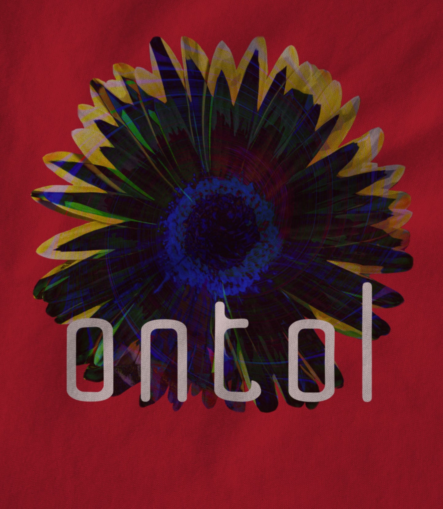 The Other Fields Flowers Women's T-shirt