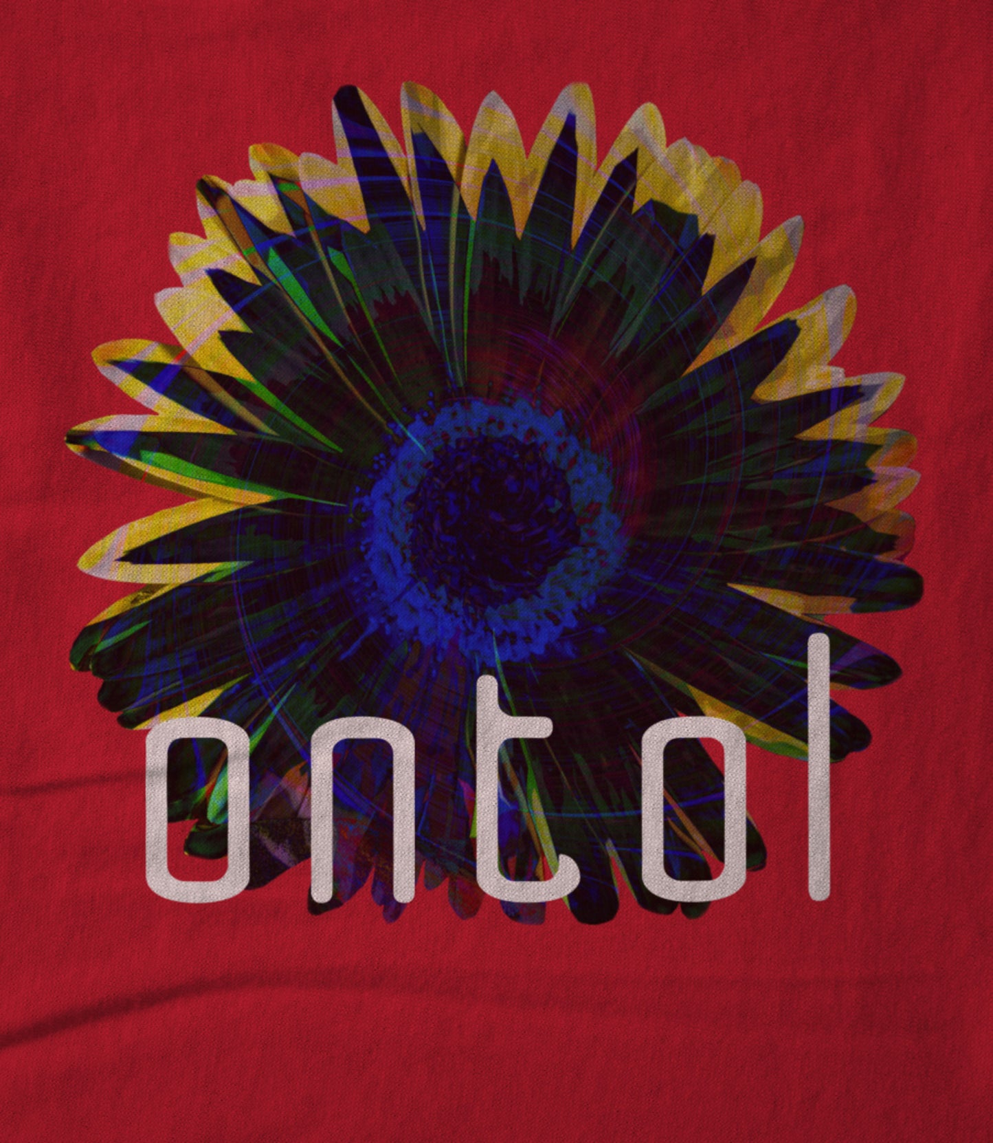 The Other Fields Flowers Hoodie