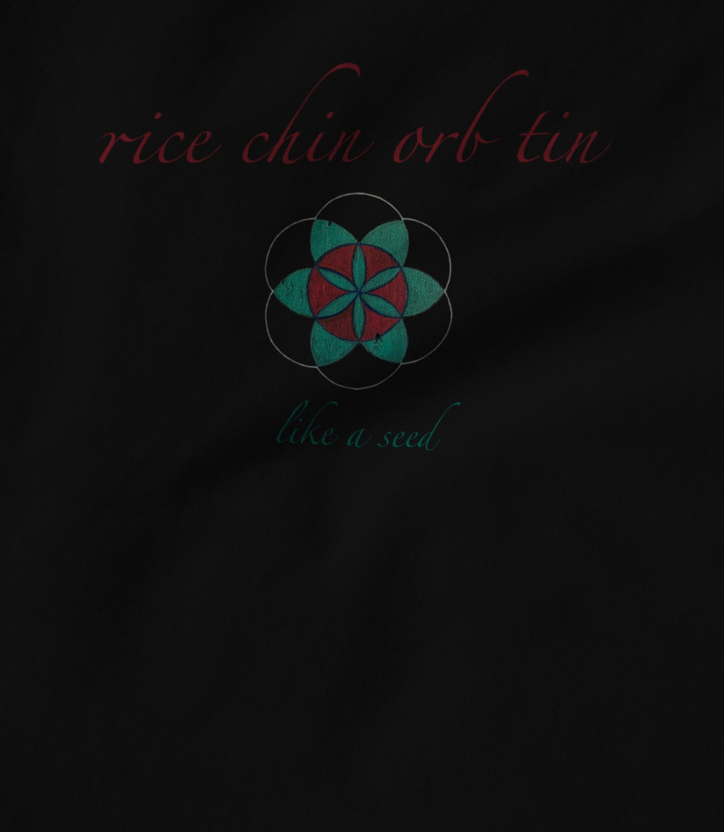 Black Women's T-shirt