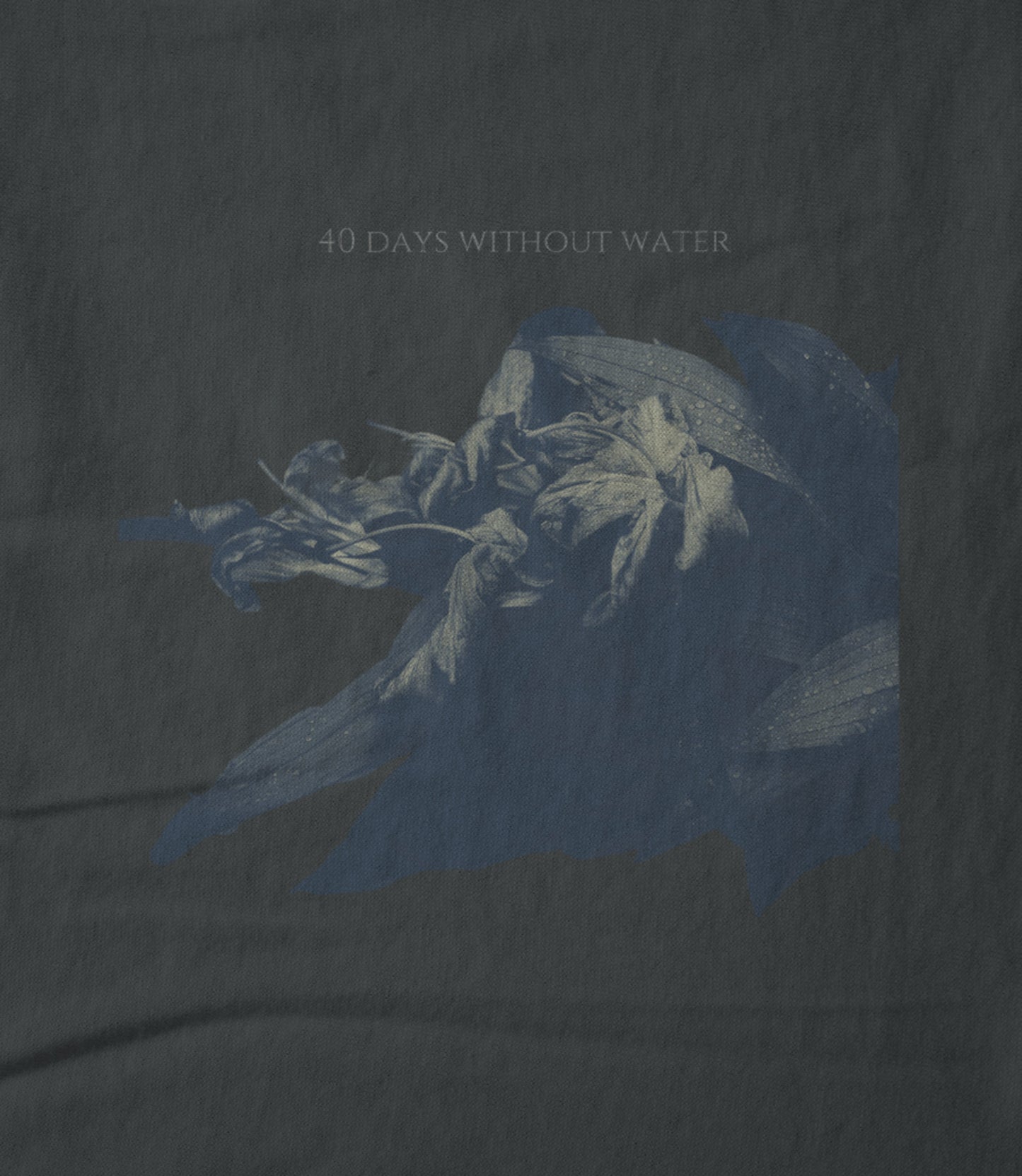 40 Days Without Water Hoodie