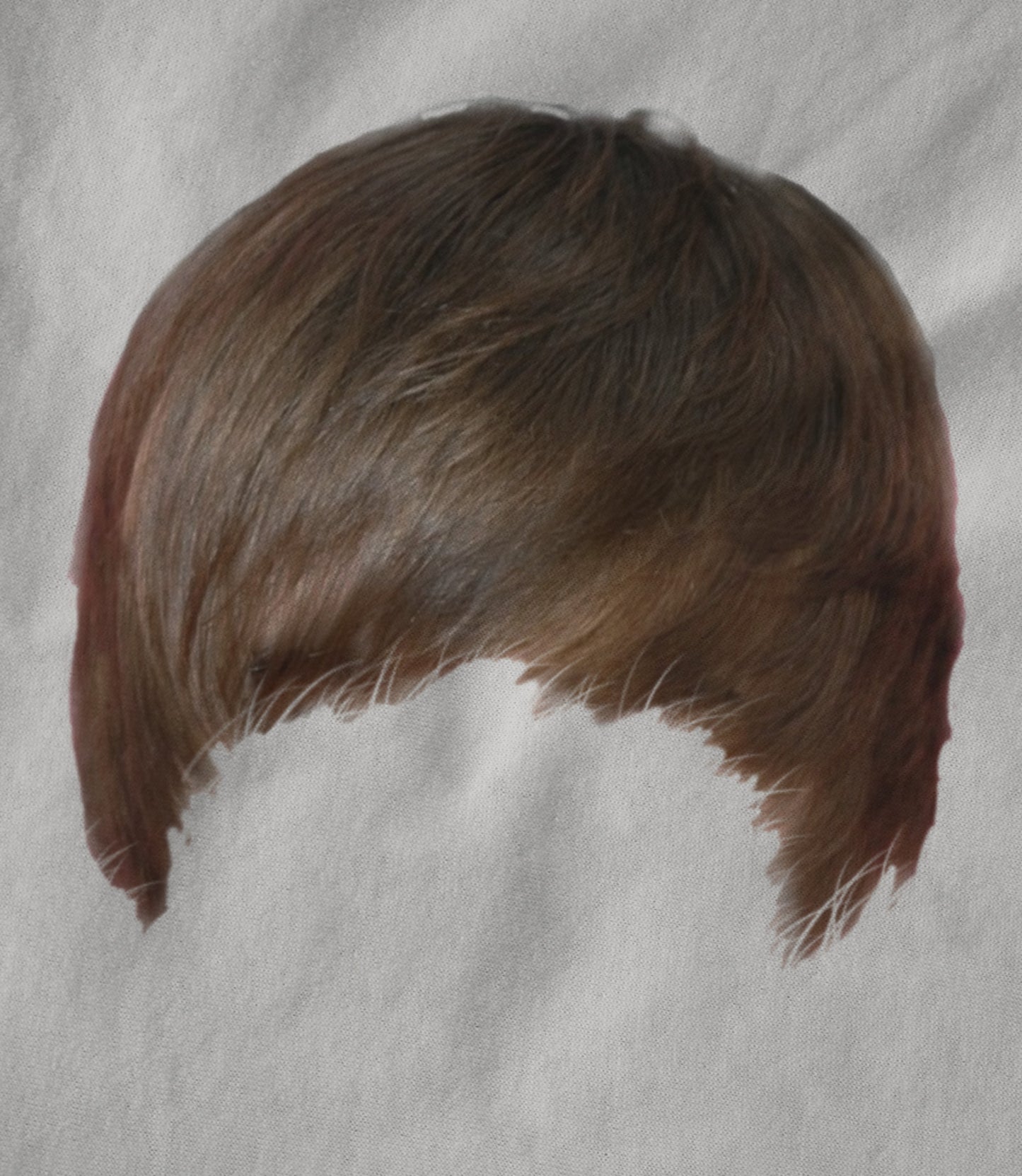 Bieber Unisex T-shirt