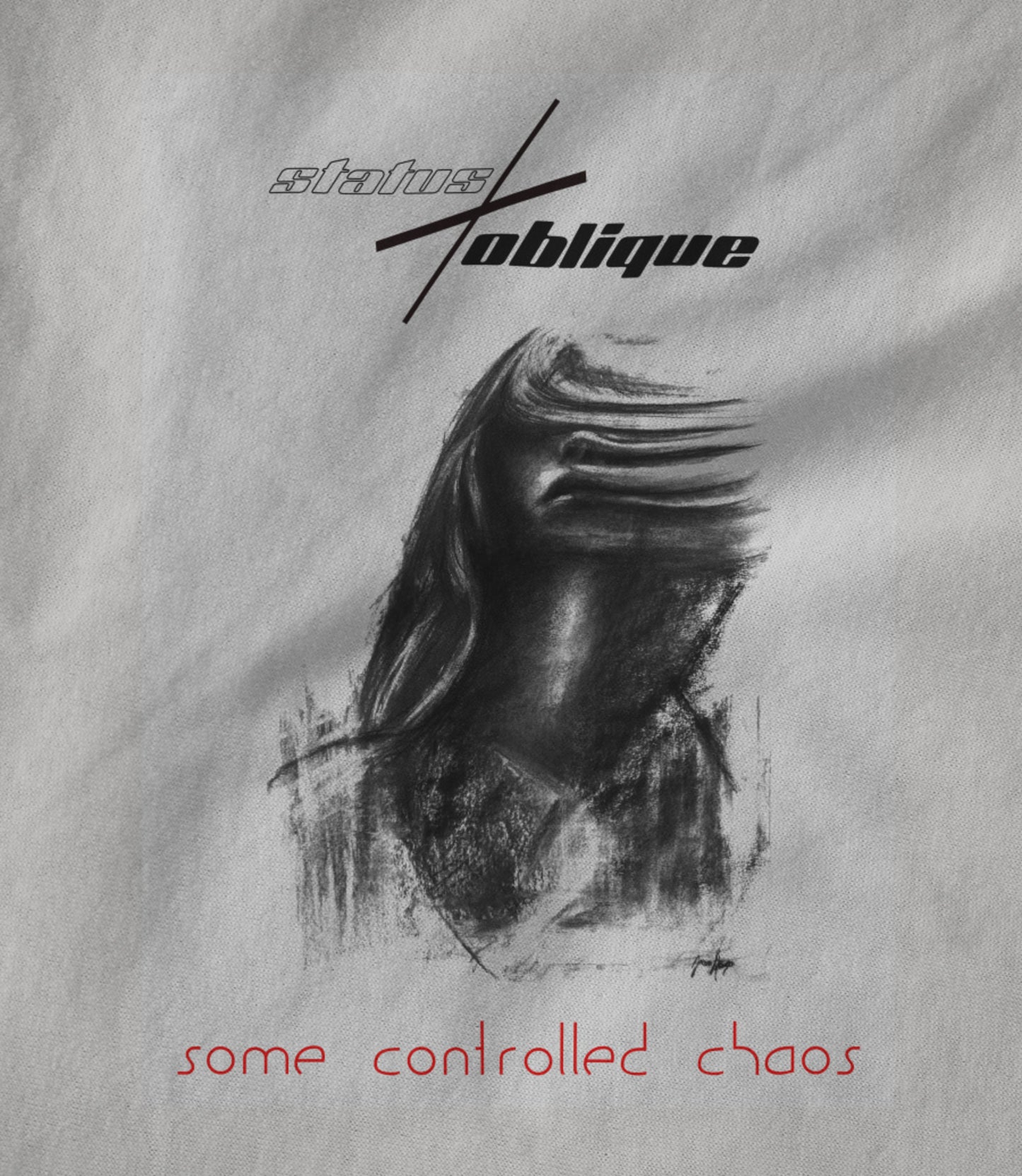 Some Controlled Chaos Hoodie