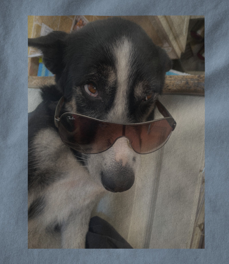 Tula shades