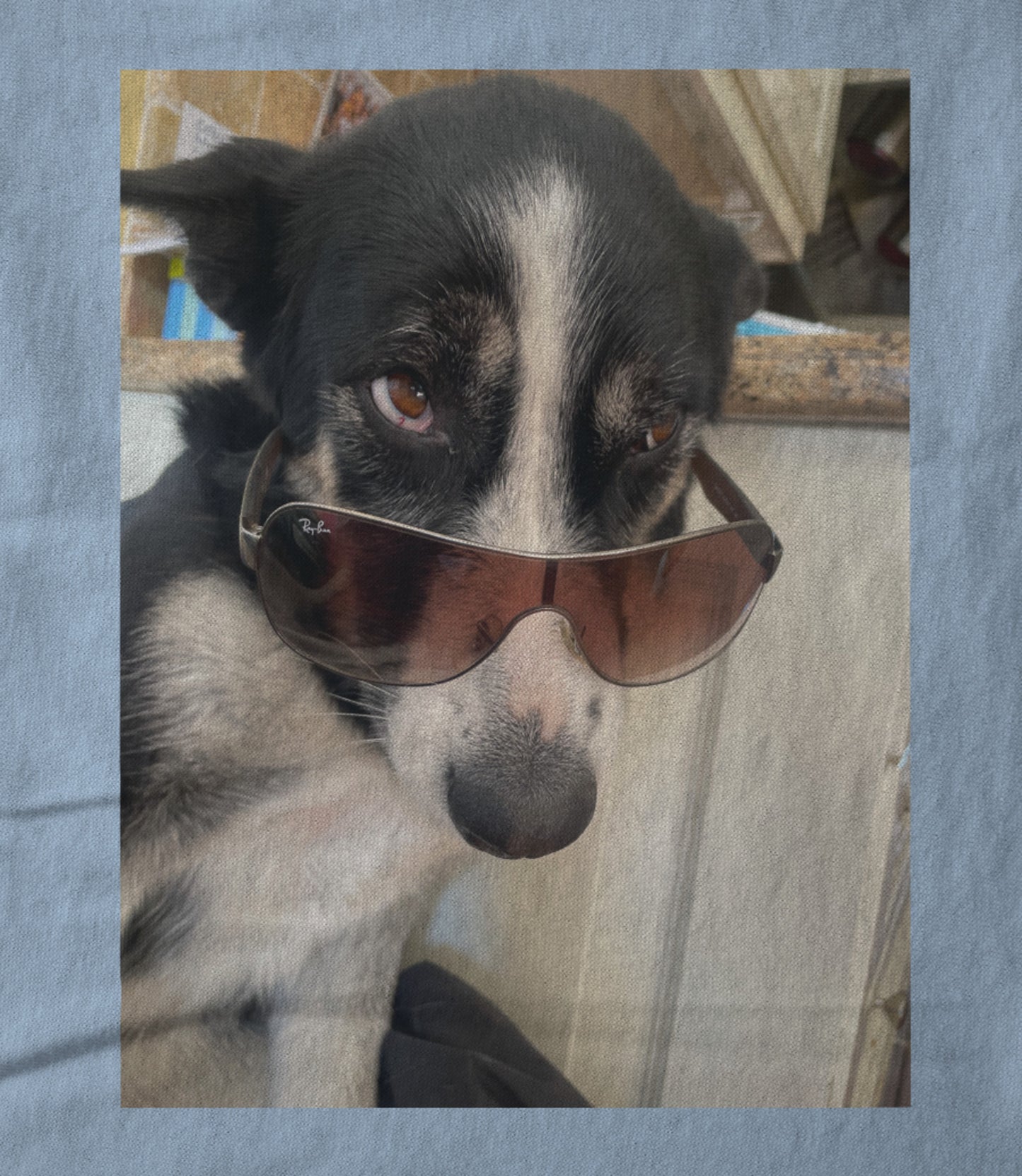 Tula shades Hoodie