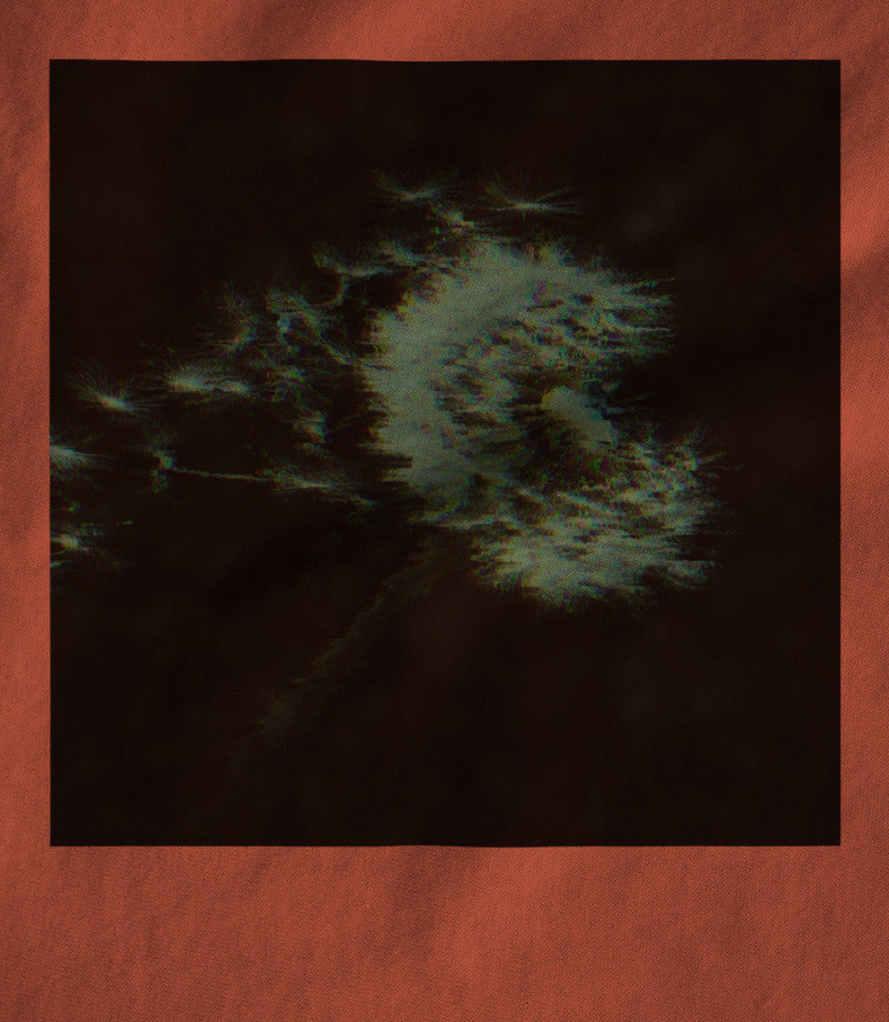 Coral Merch