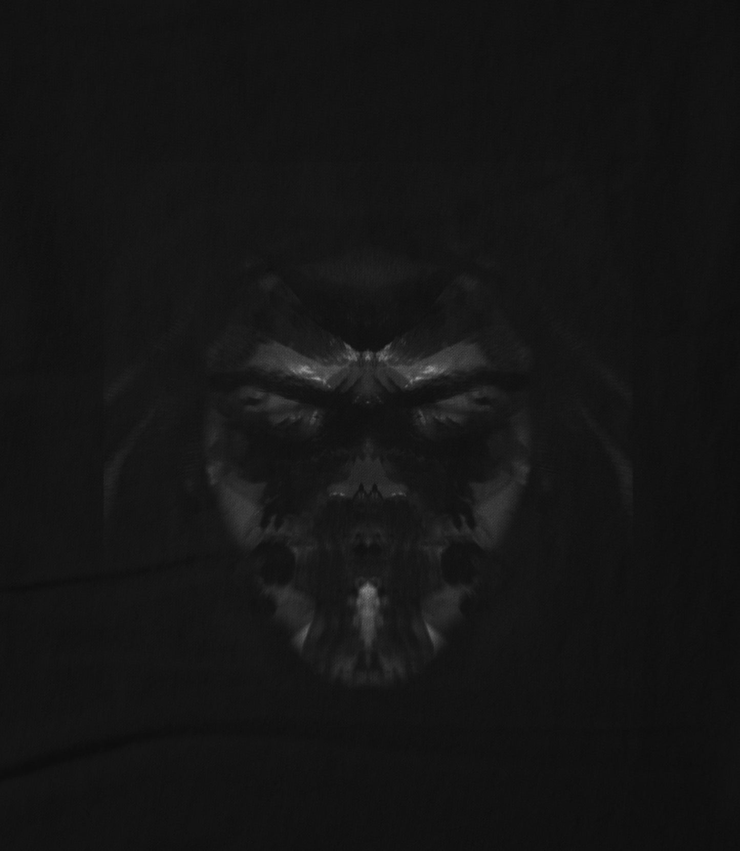 ILLUSION -BLACK- Hoodie