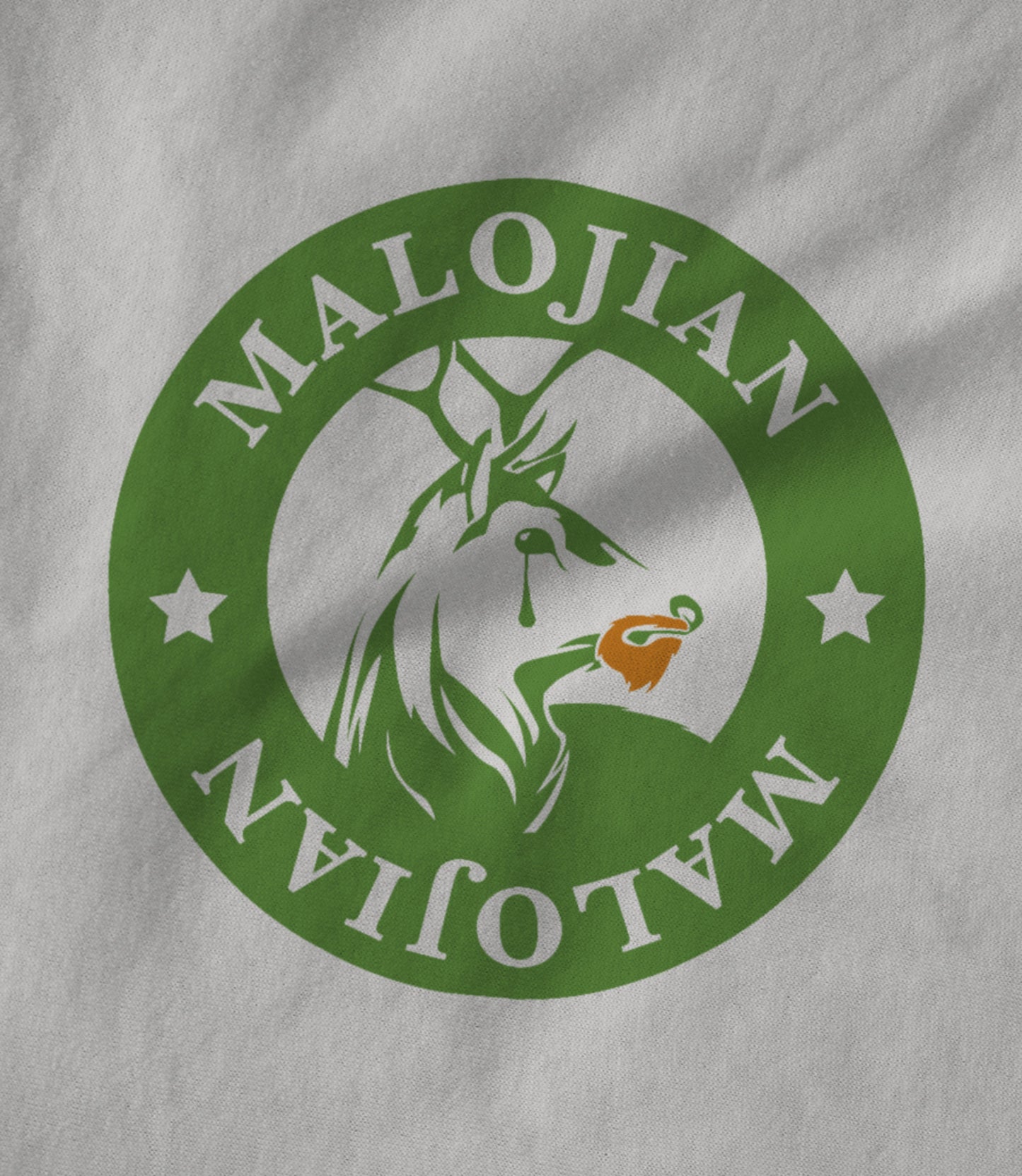 Saint Patricks Day Unisex T-shirt