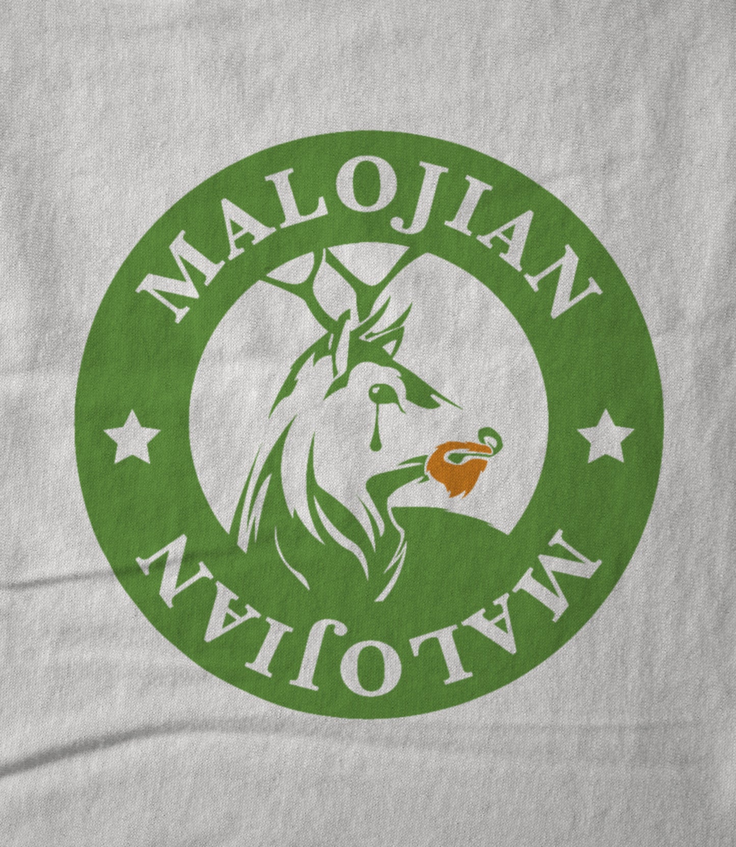 Saint Patricks Day Hoodie