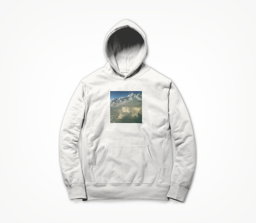 'The Scheme of Things' Hoodie