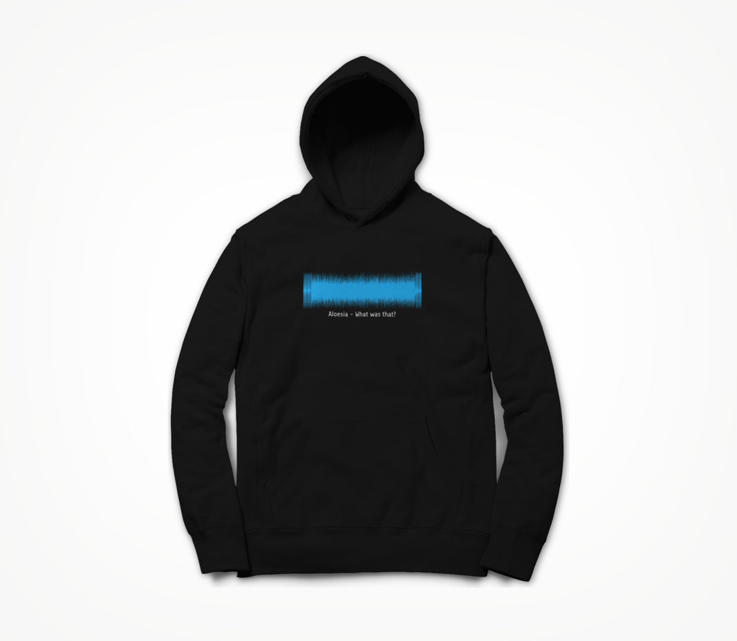 What was that? Waveform Hoodie