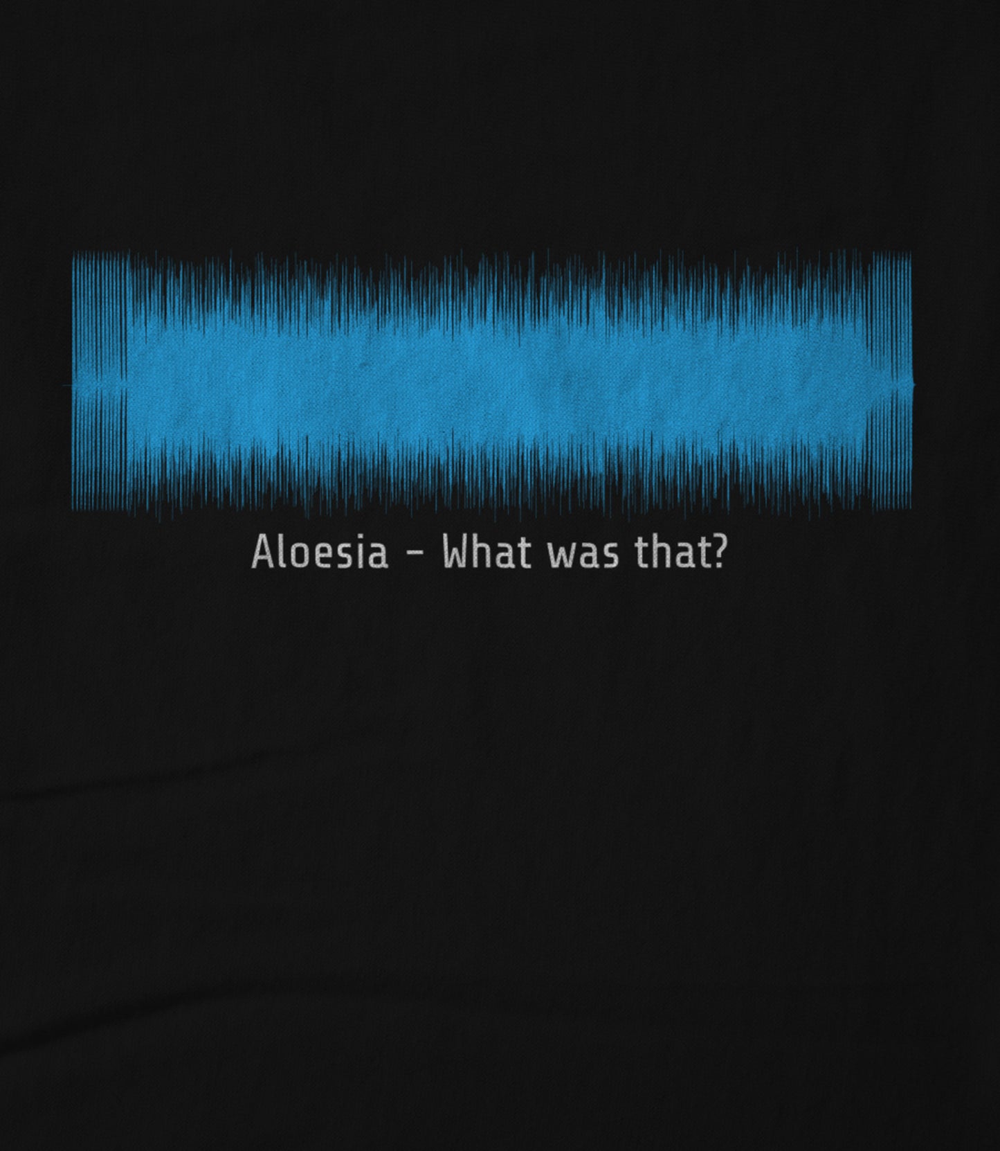 What was that? Waveform Hoodie