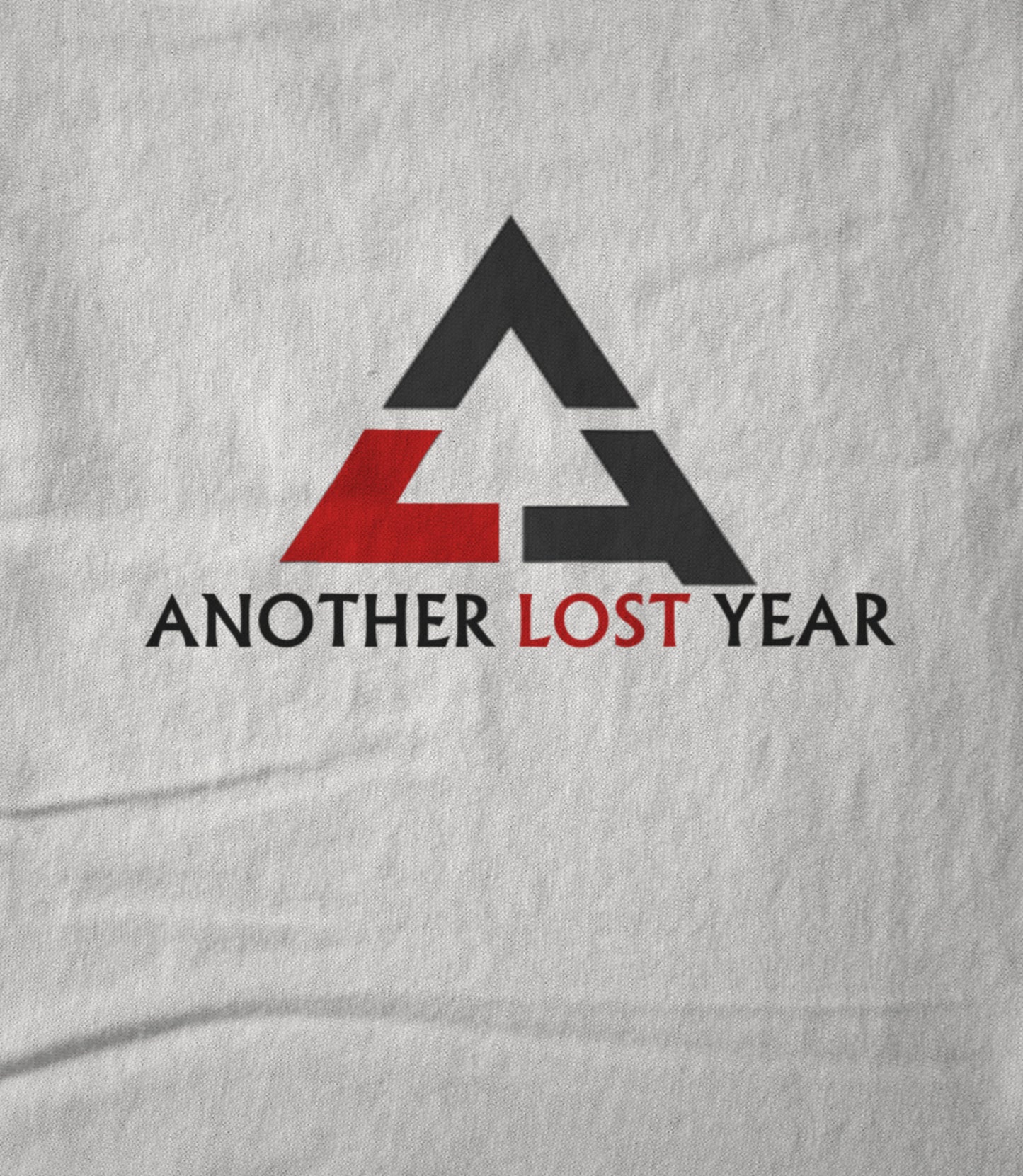Logo ALY Hoodie