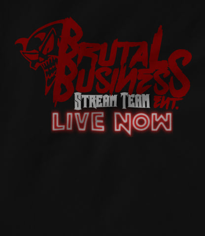 Stream Team Hoodie