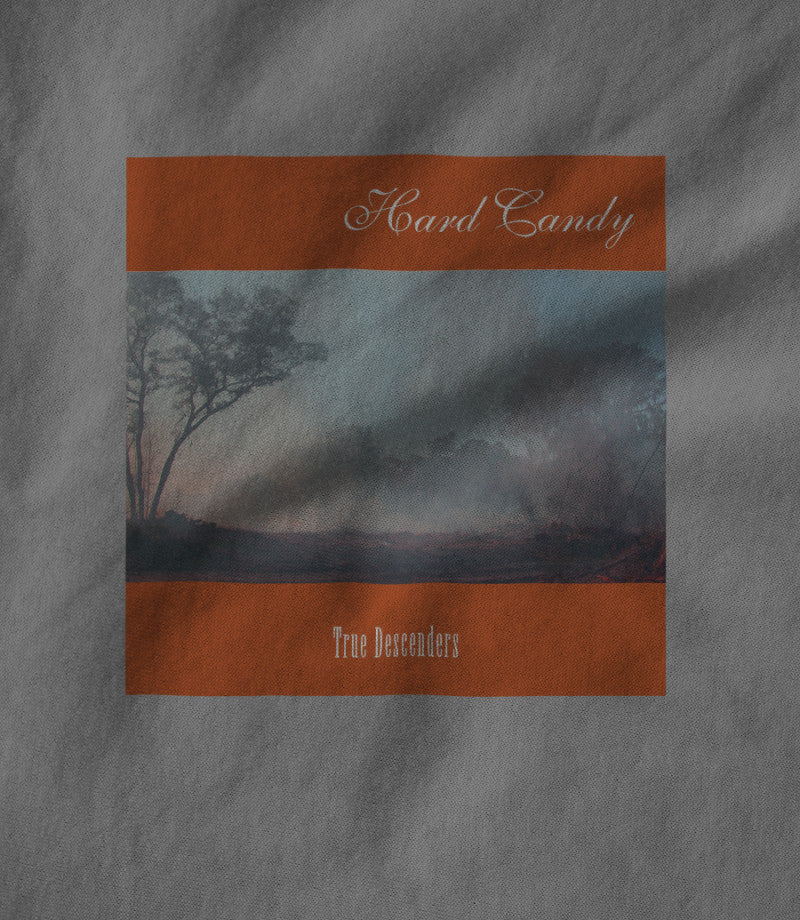 True Descenders Cover Art on Heather Grey