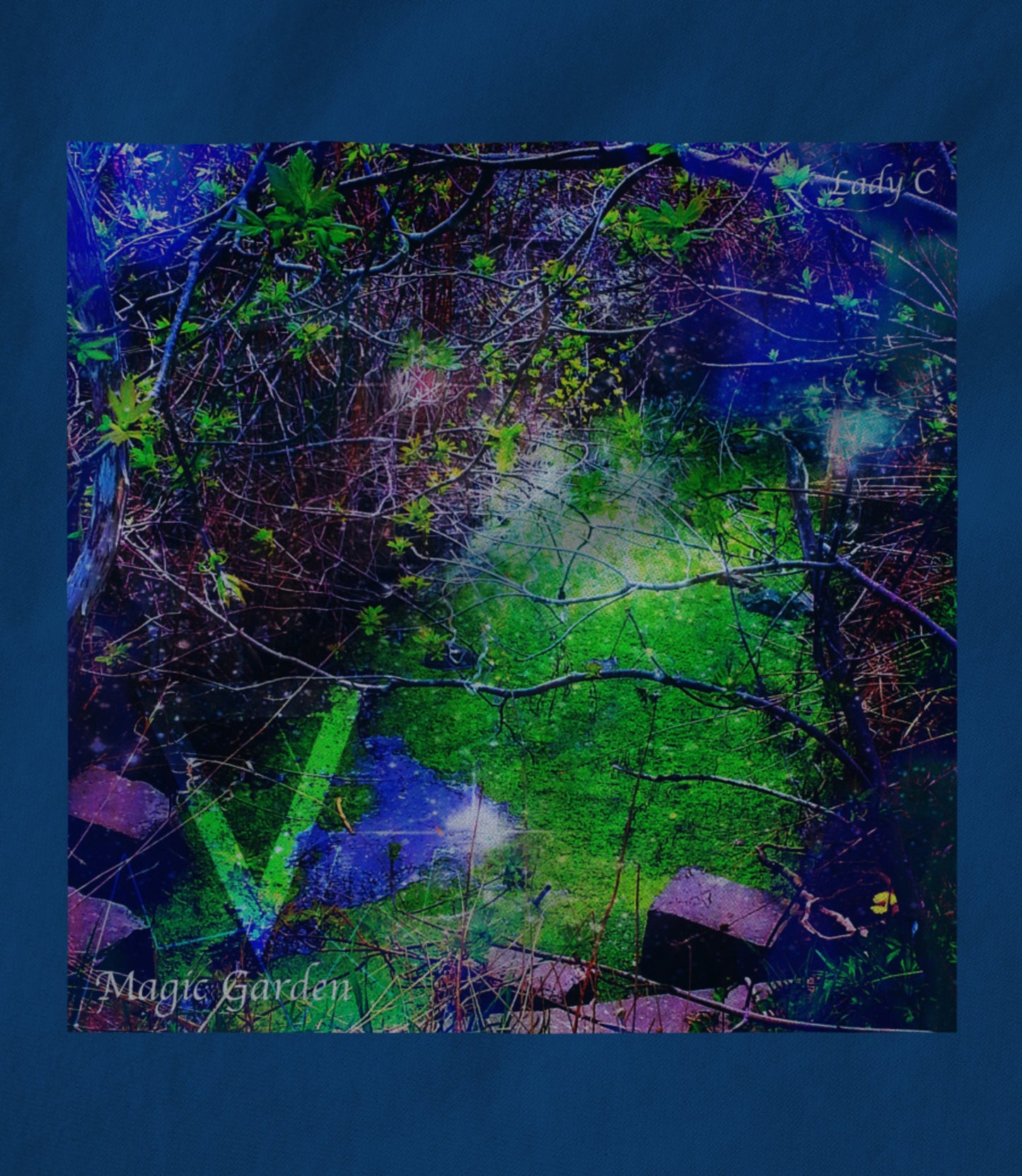 Magic Garden Women's T-shirt