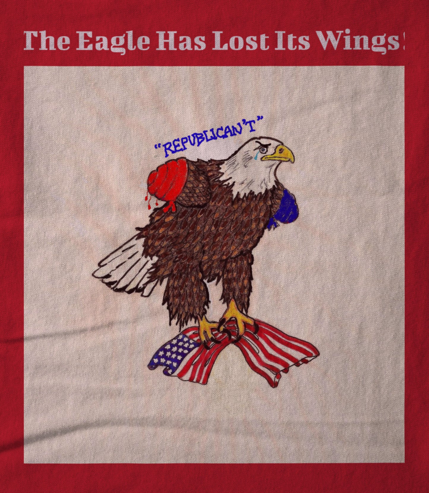 The Eagle Has Lost Its Wings ! Hoodie