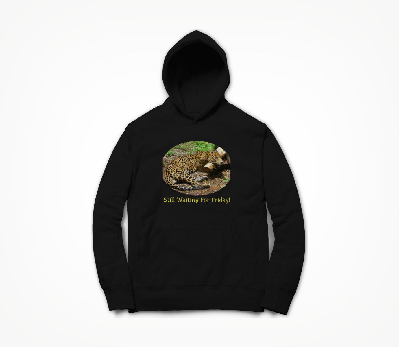 Still Waiting For Friday! Hoodie