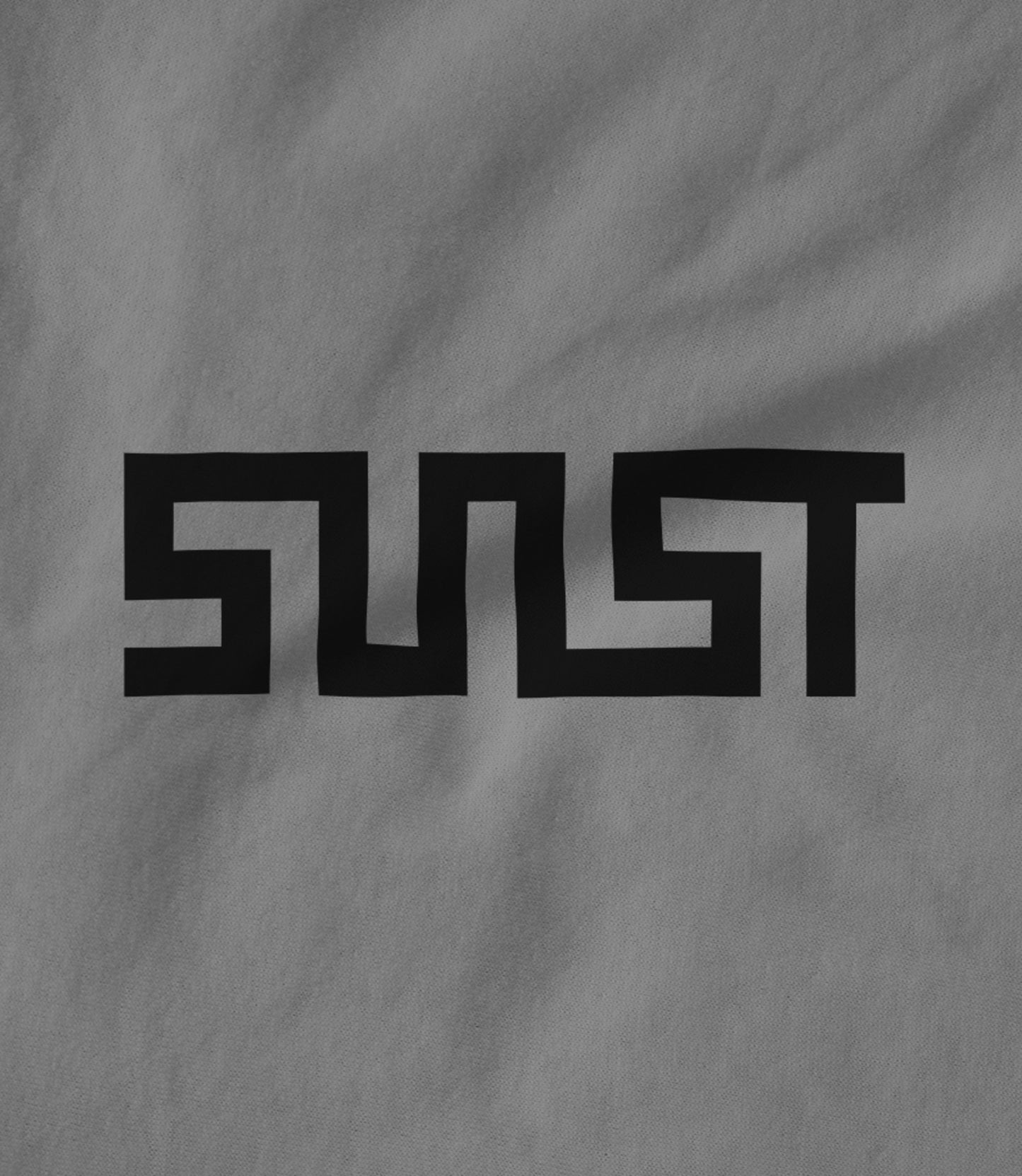 SNST logo Hoodie