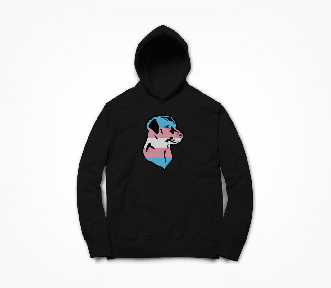 Trans Pride Hoodie