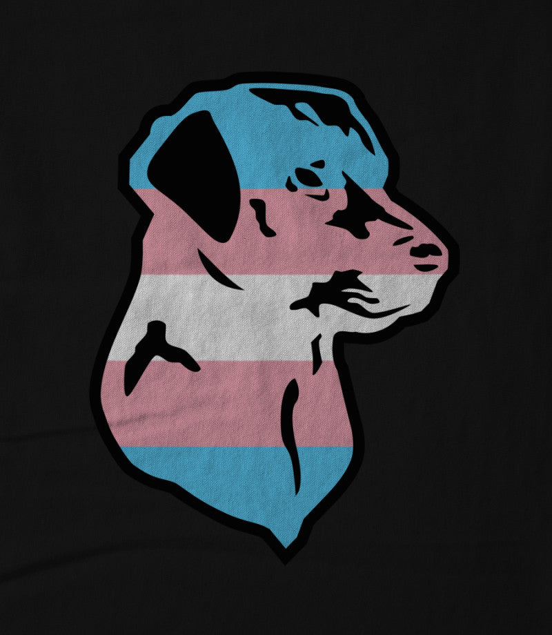 Trans Pride